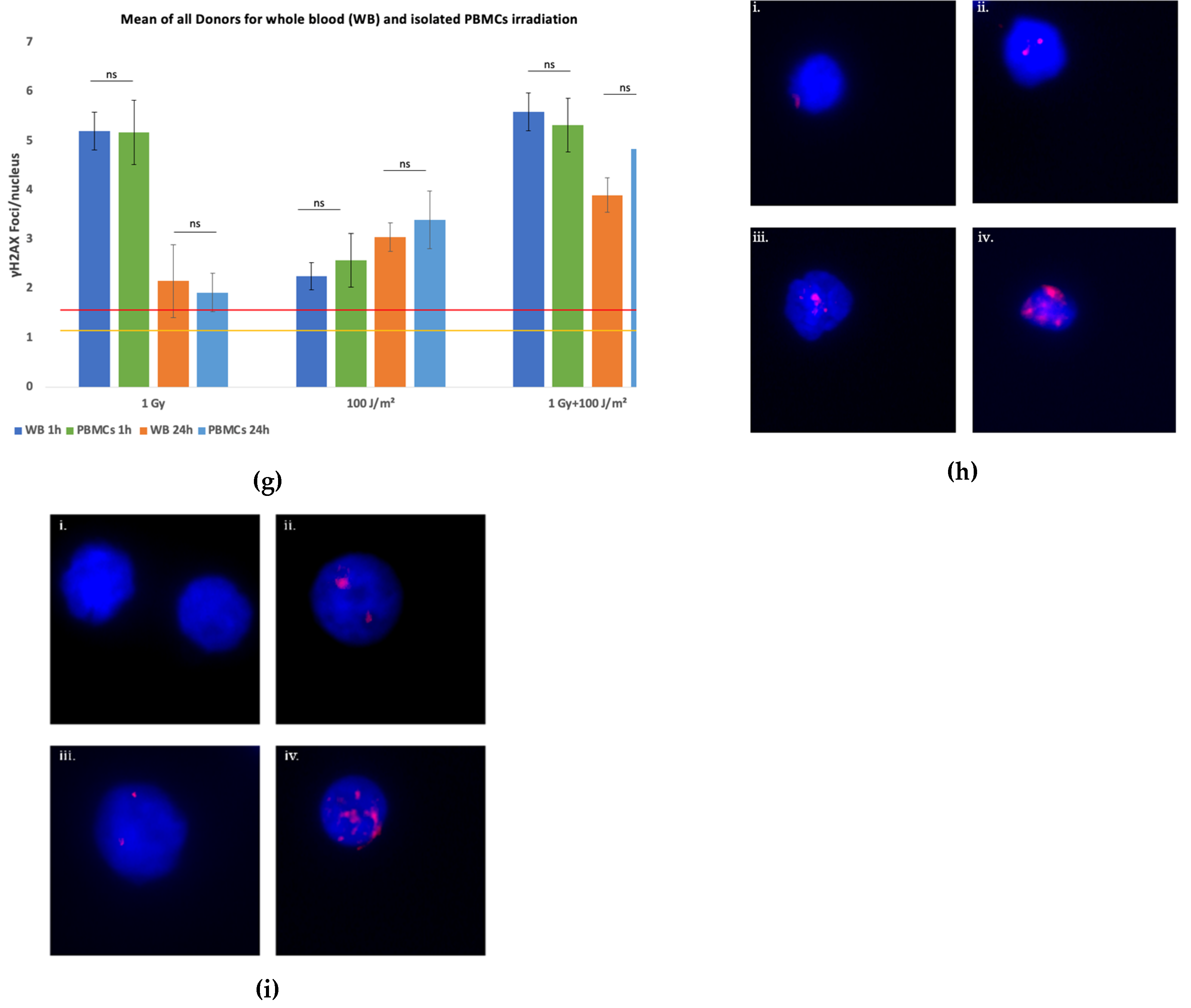 Preprints 178942 g001b