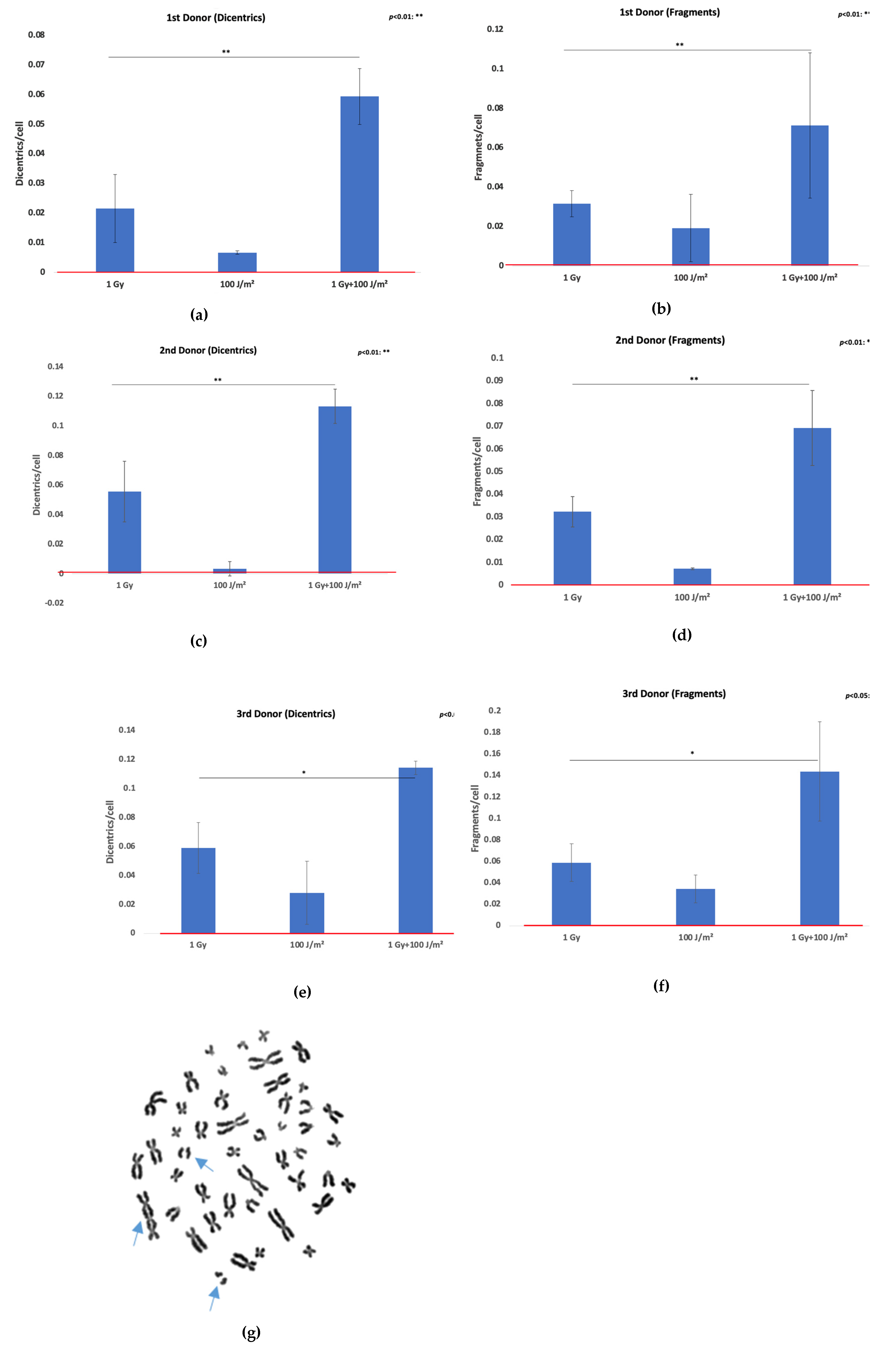 Preprints 178942 g002