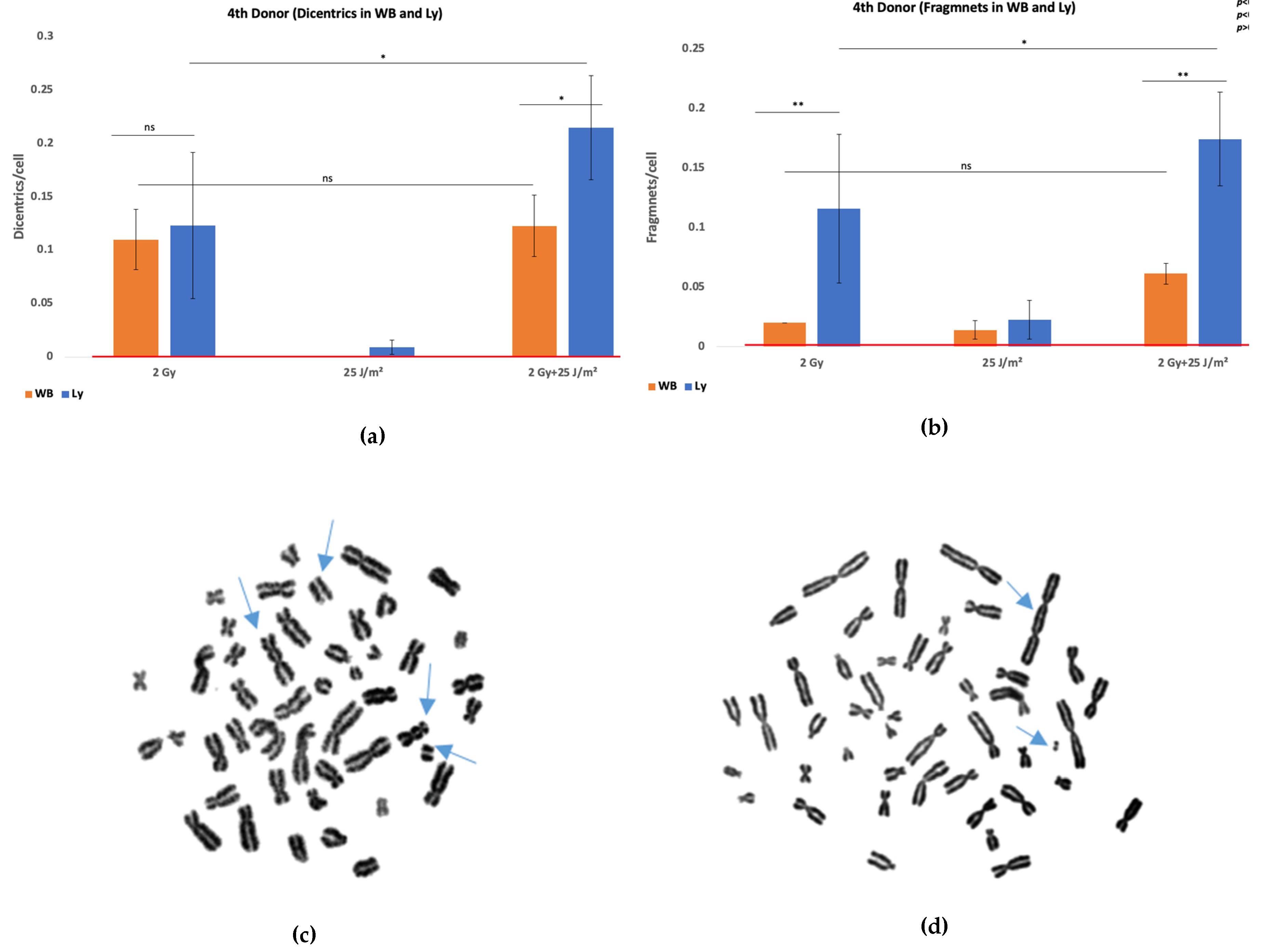 Preprints 178942 g003