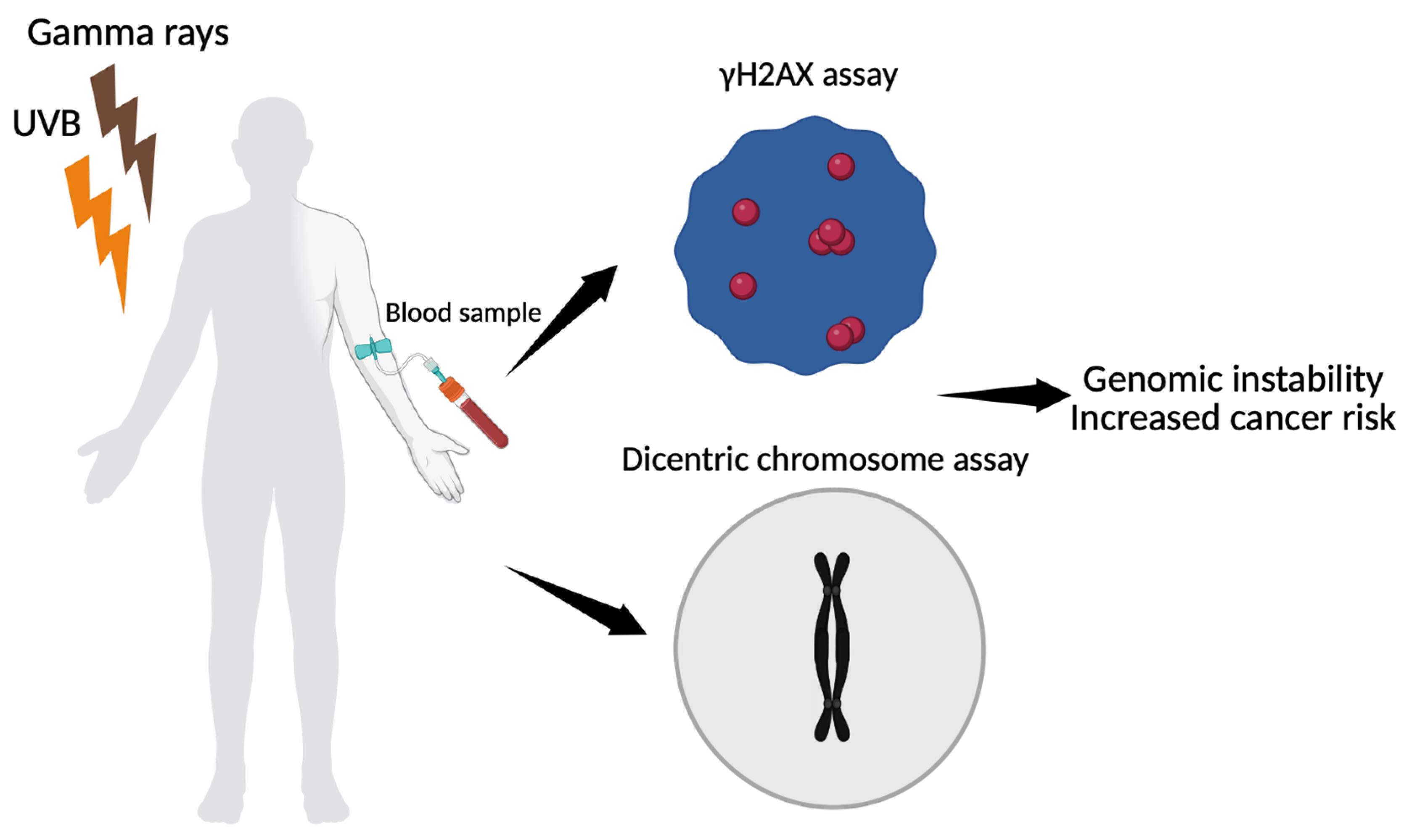 Preprints 178942 g004