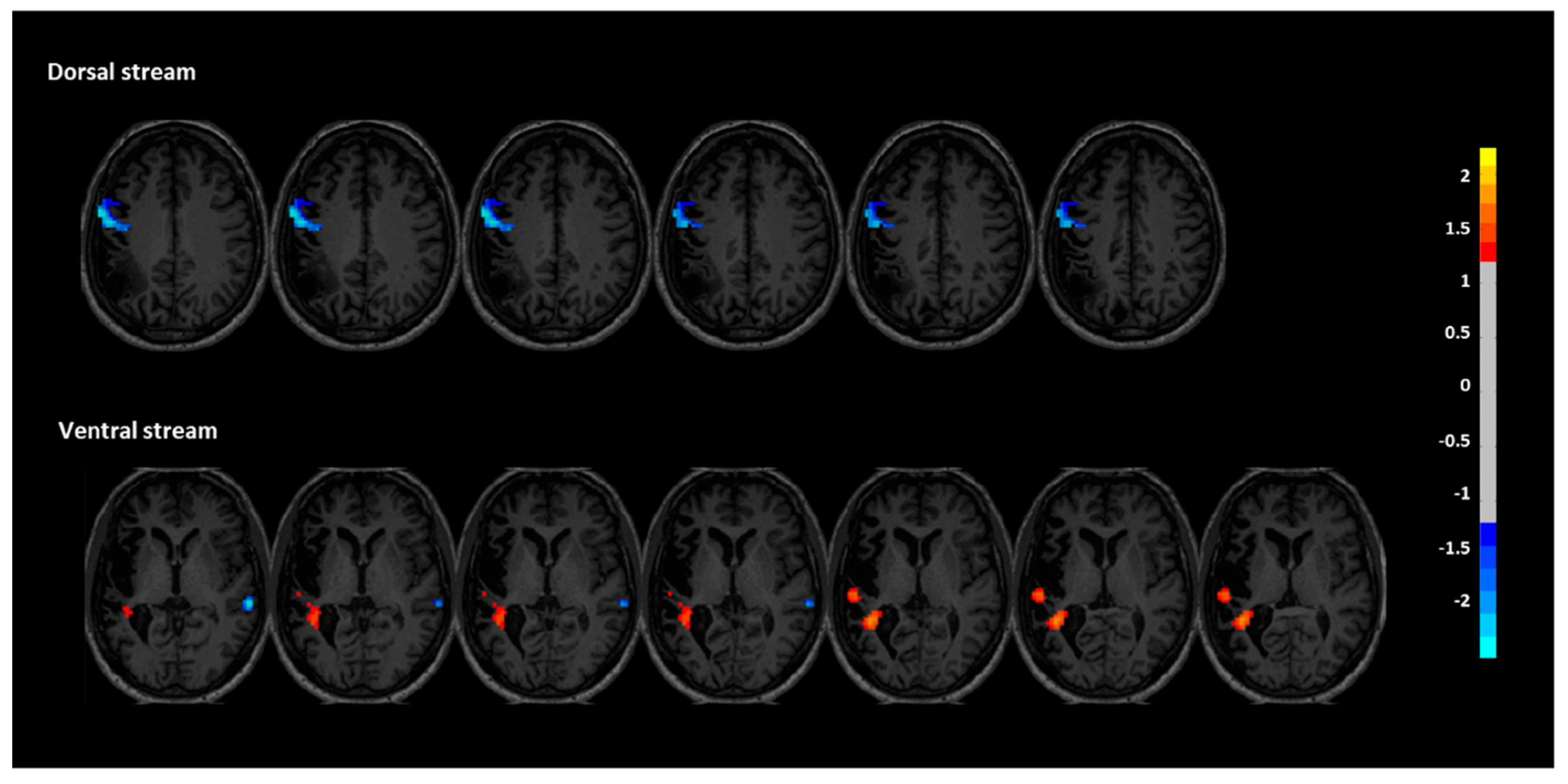 Preprints 162631 g003