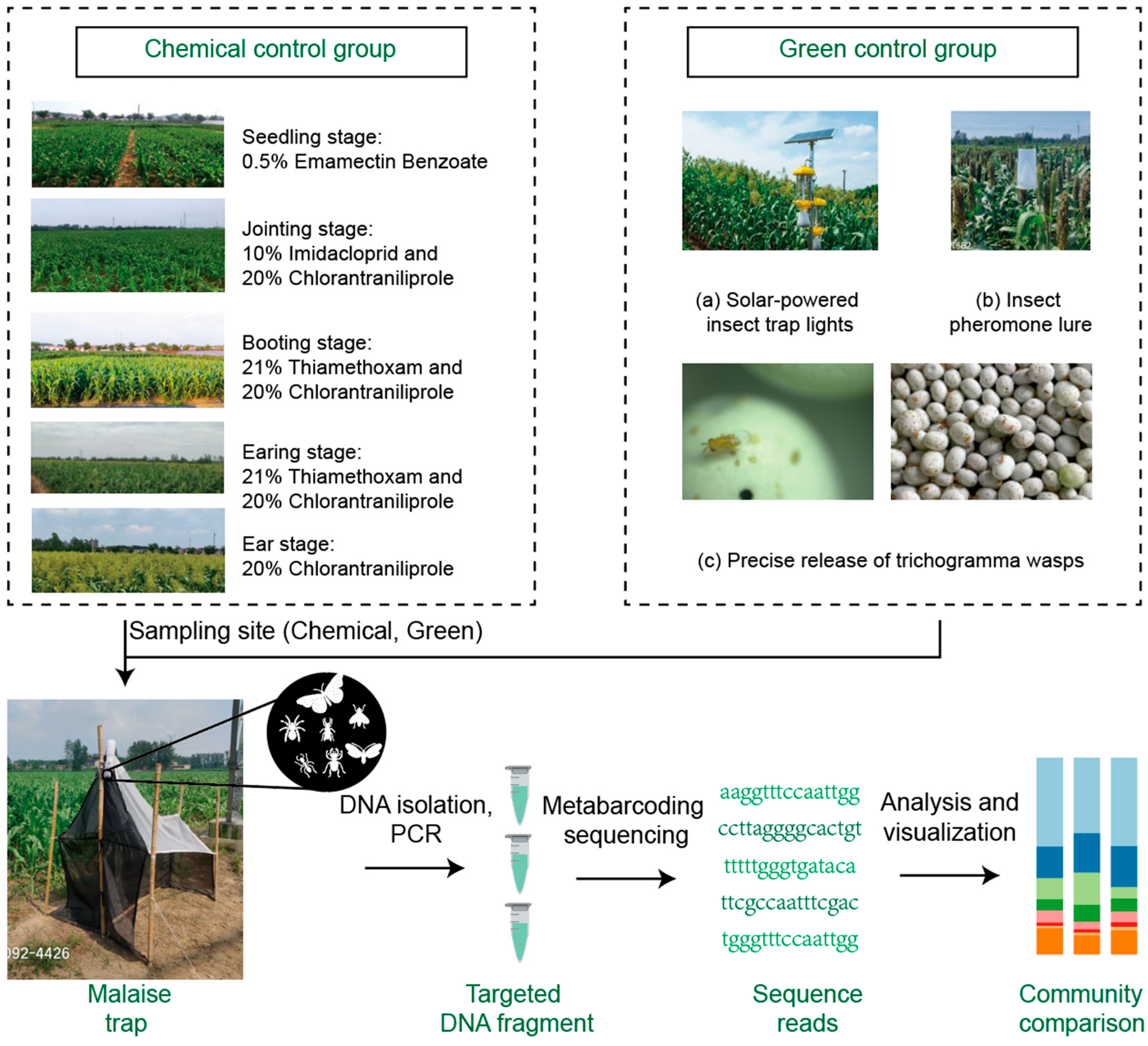 Preprints 143324 g001