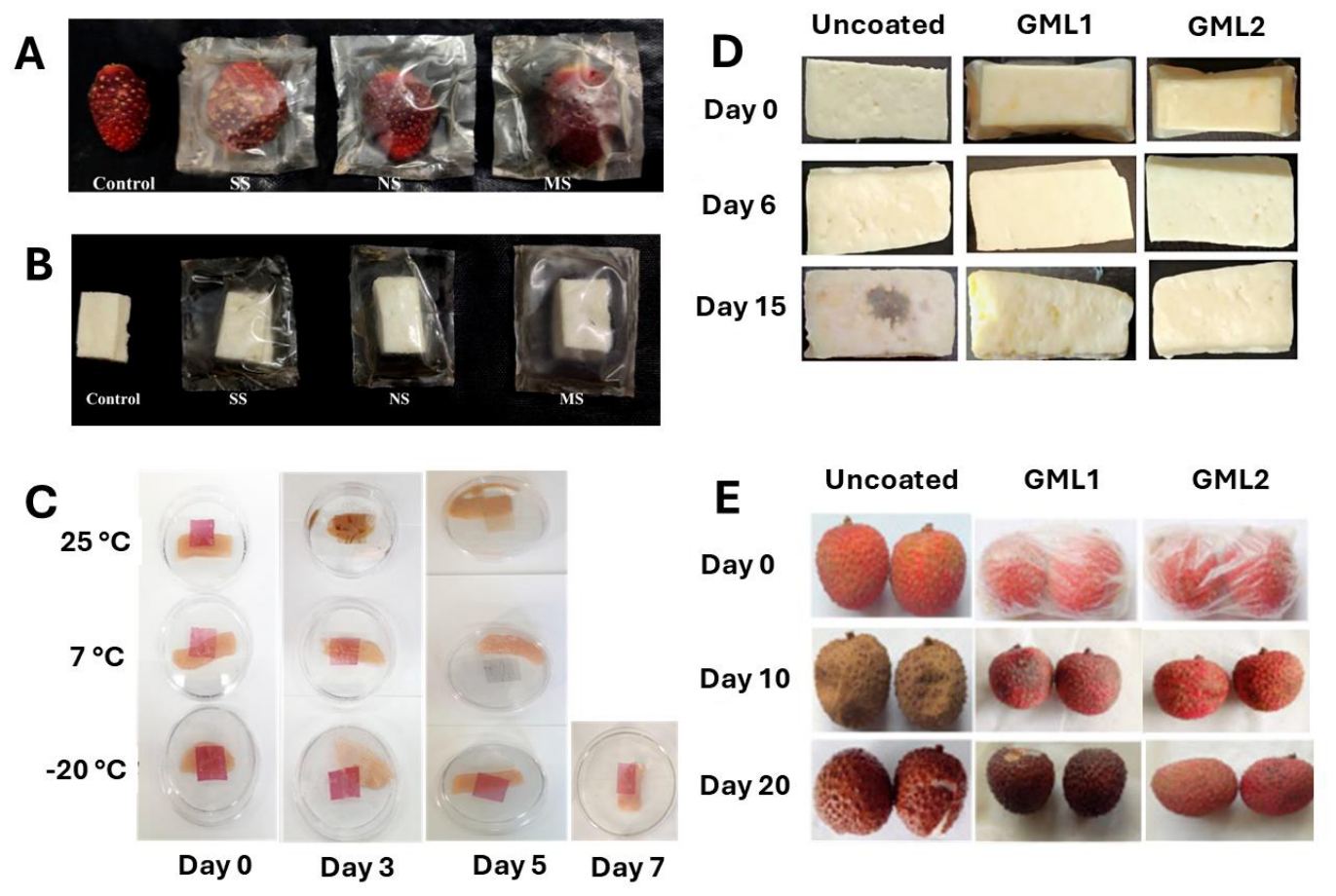 Preprints 215949 g005 Preprints 215949 g005