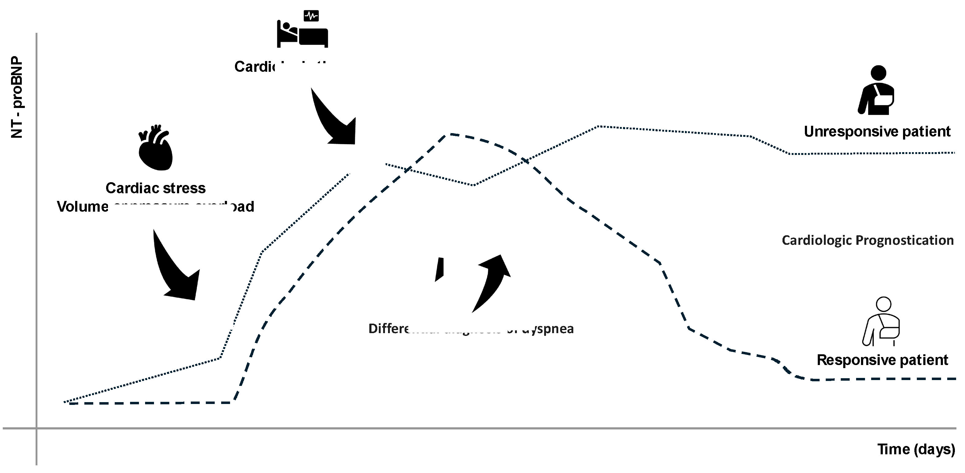 Preprints 151608 g002