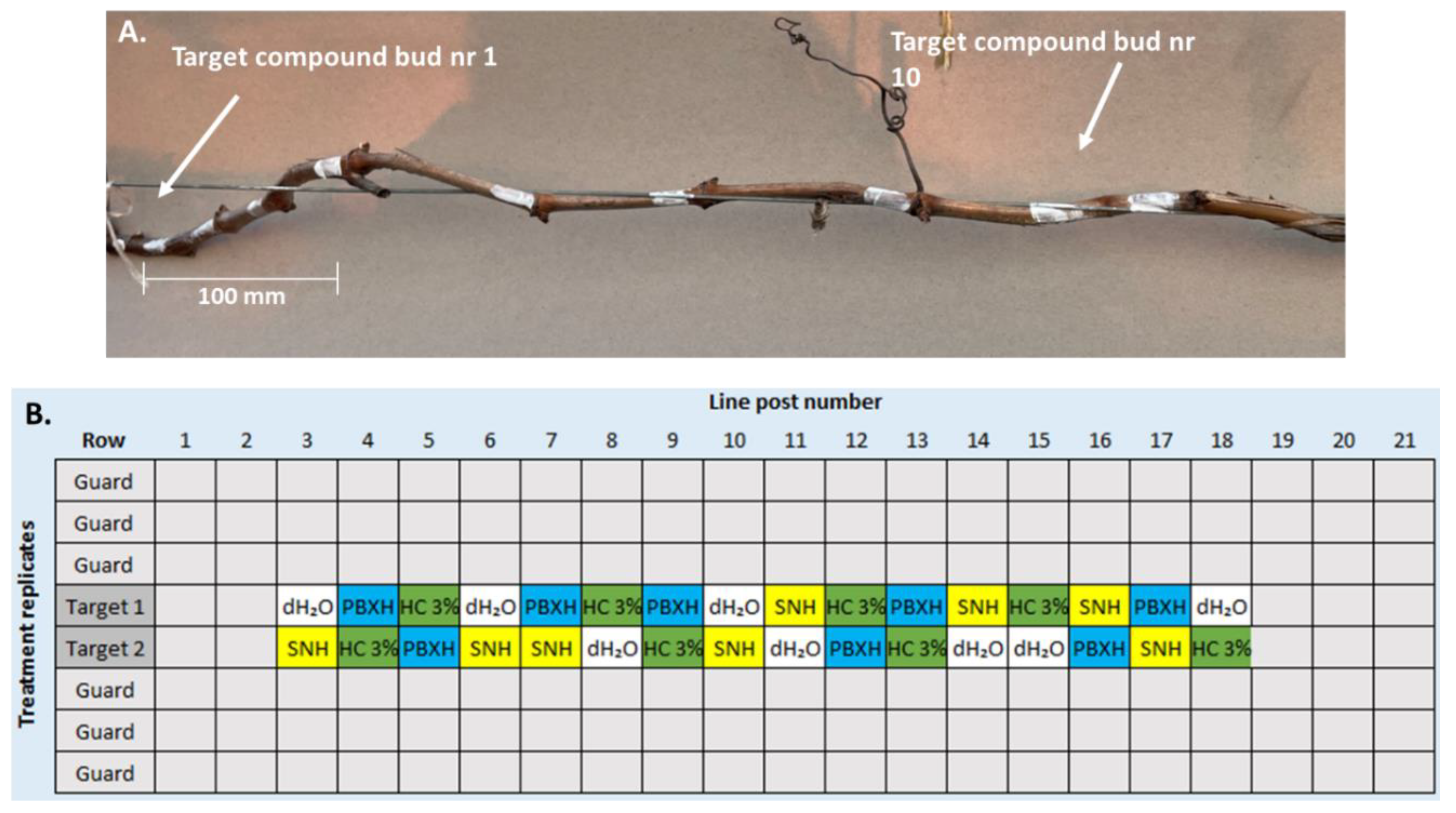 Preprints 103002 g002