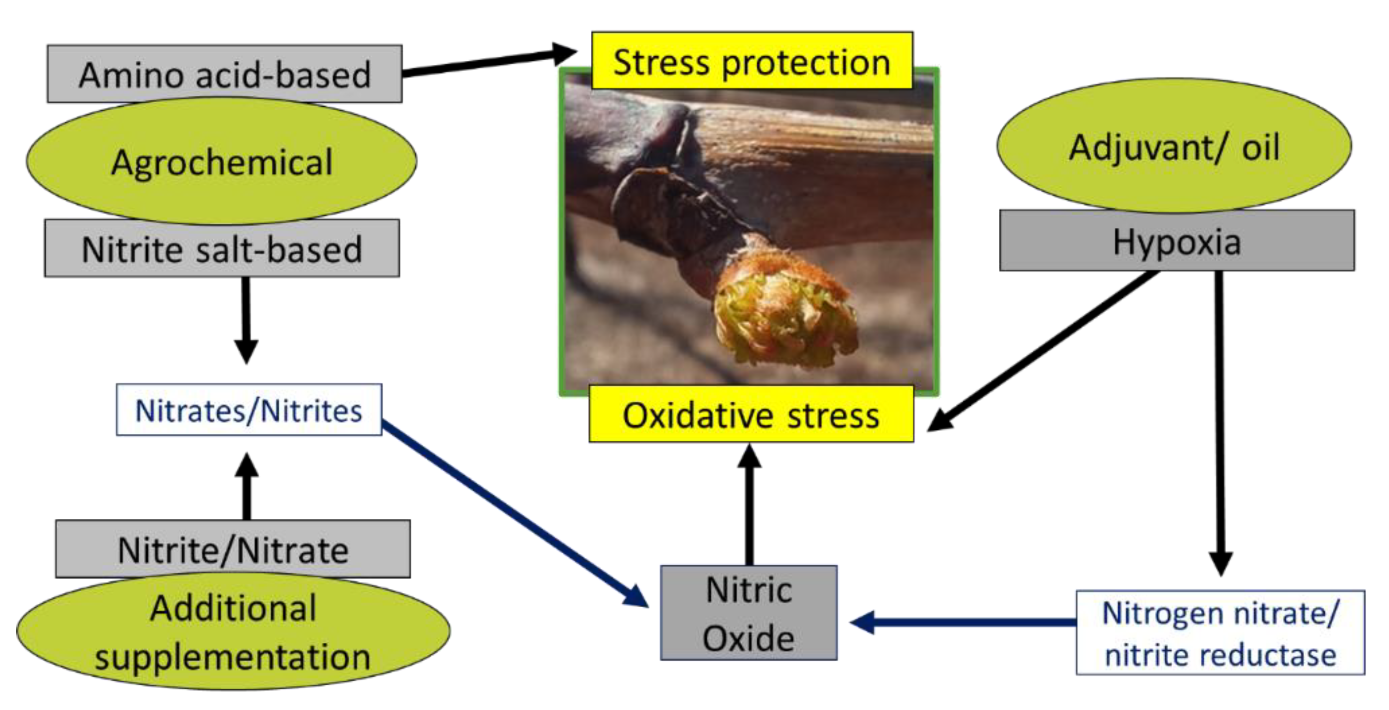 Preprints 103002 g006