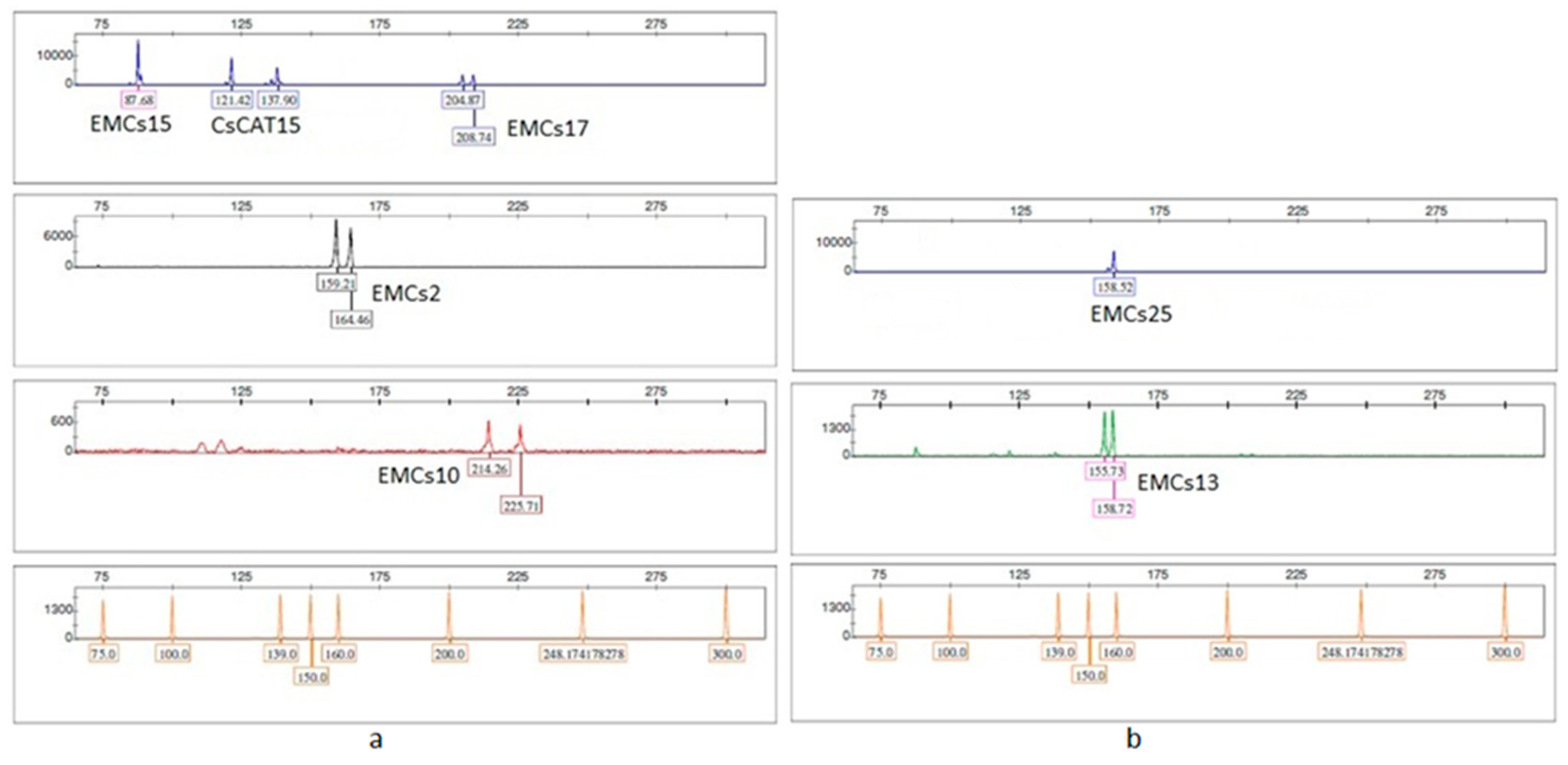 Preprints 172294 g002