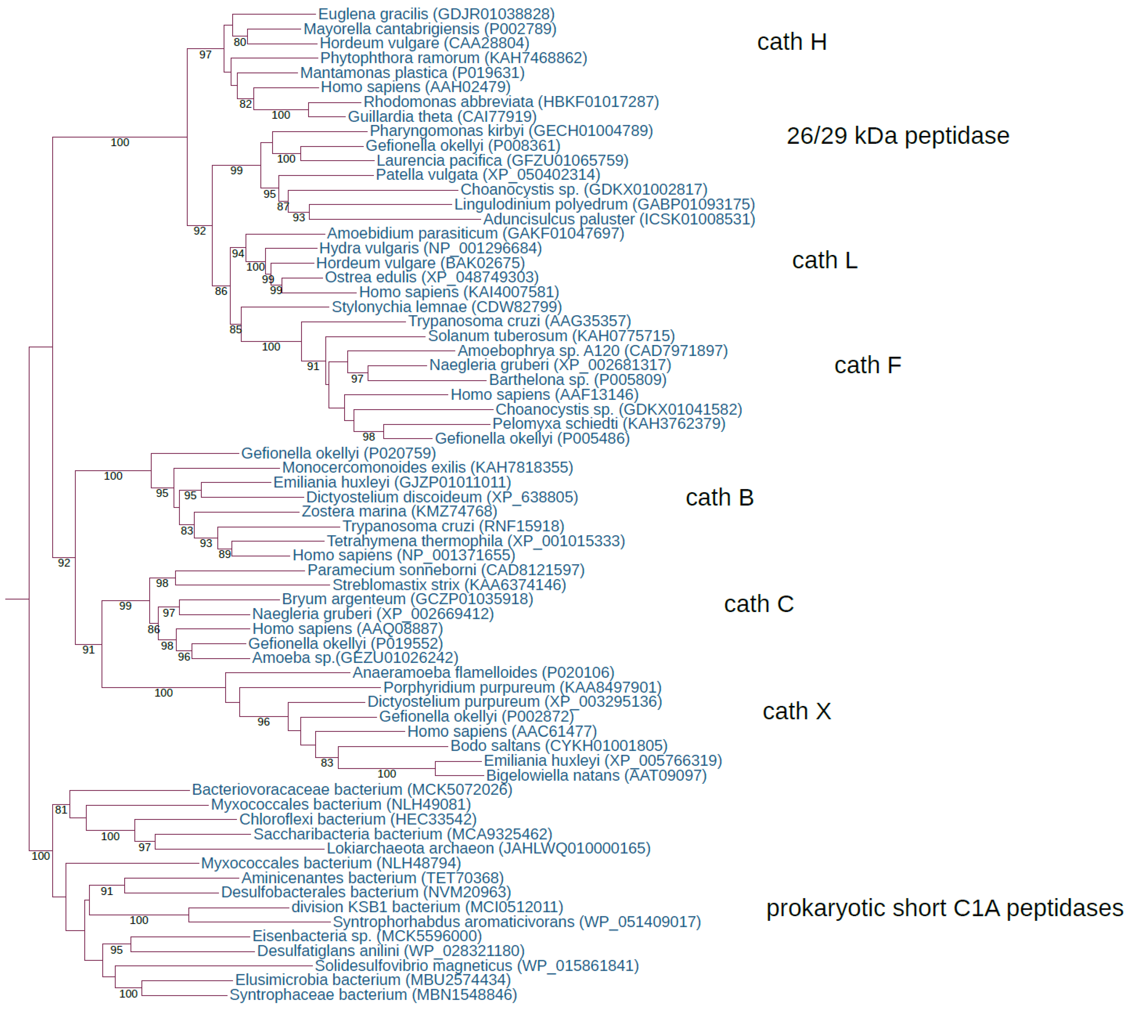 Preprints 77410 g001
