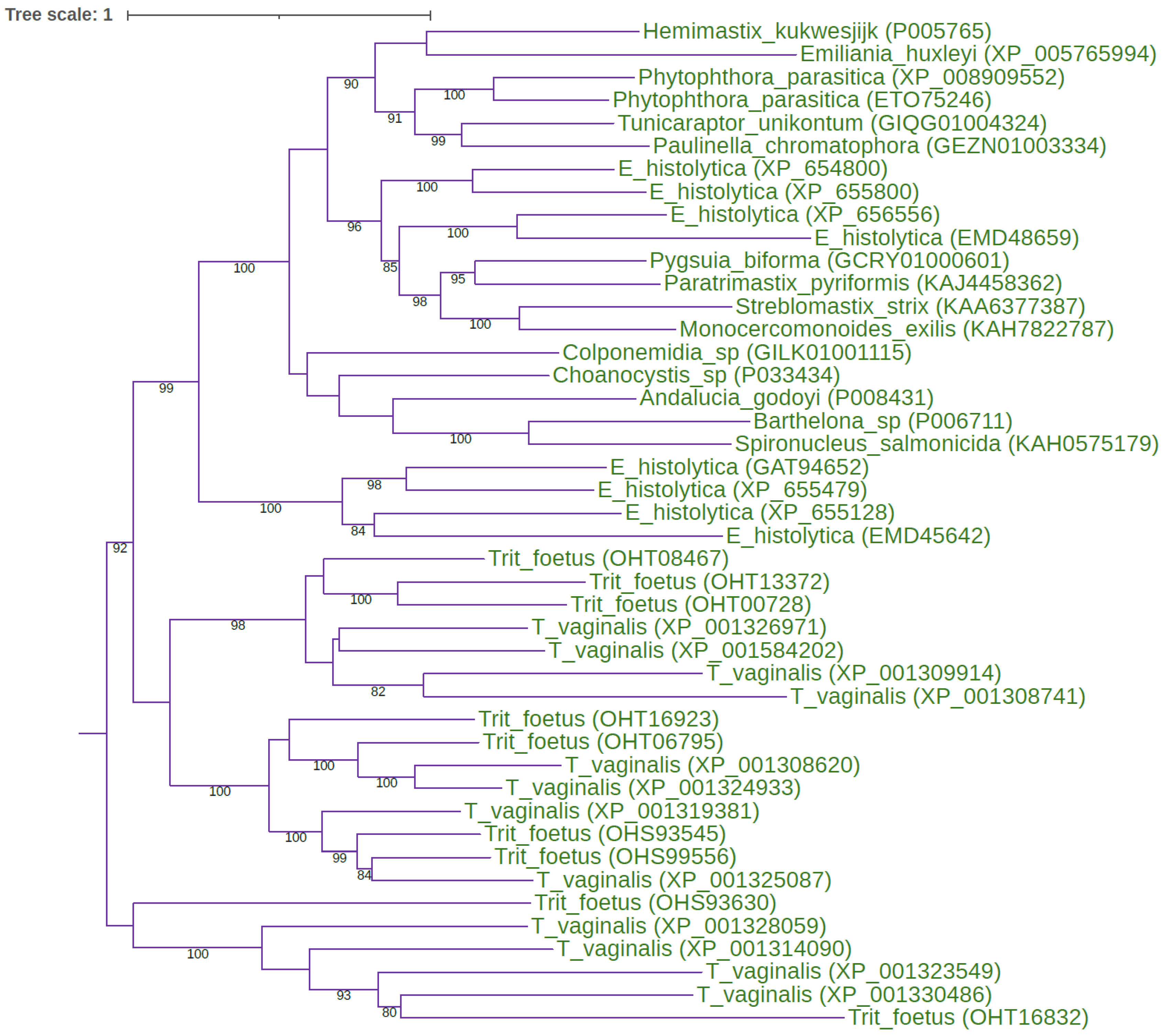 Preprints 77410 g002