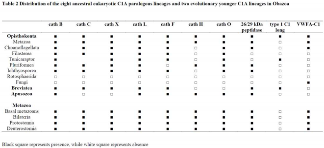 Preprints 77410 i002