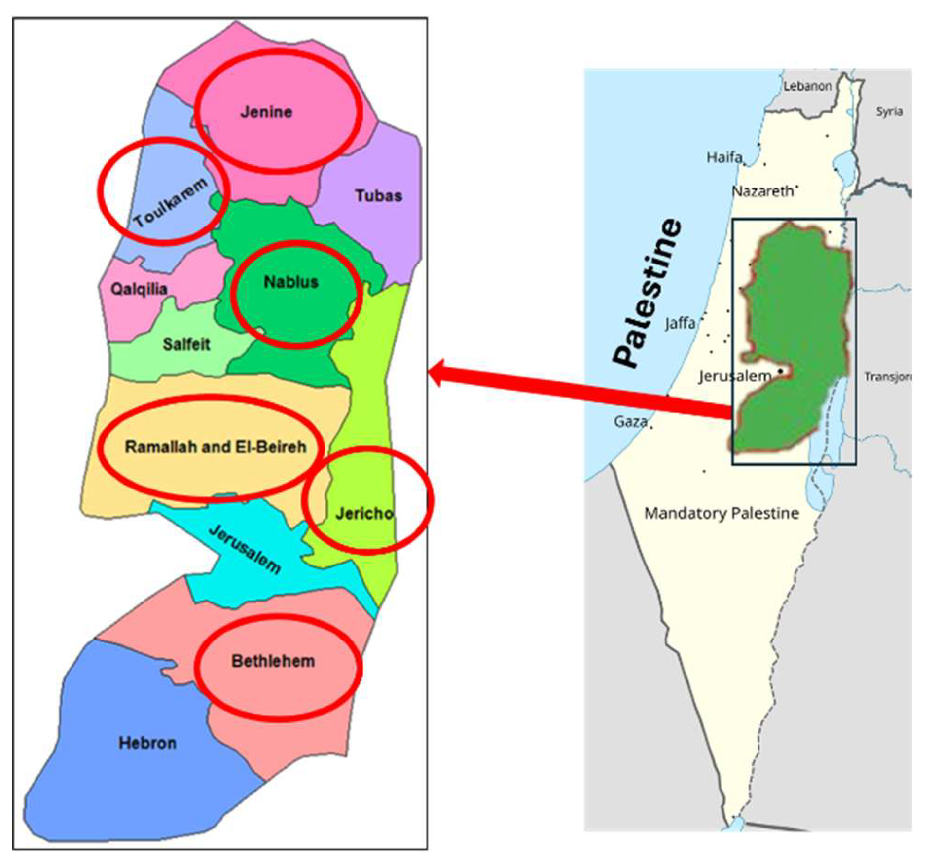 Preprints 183821 g003