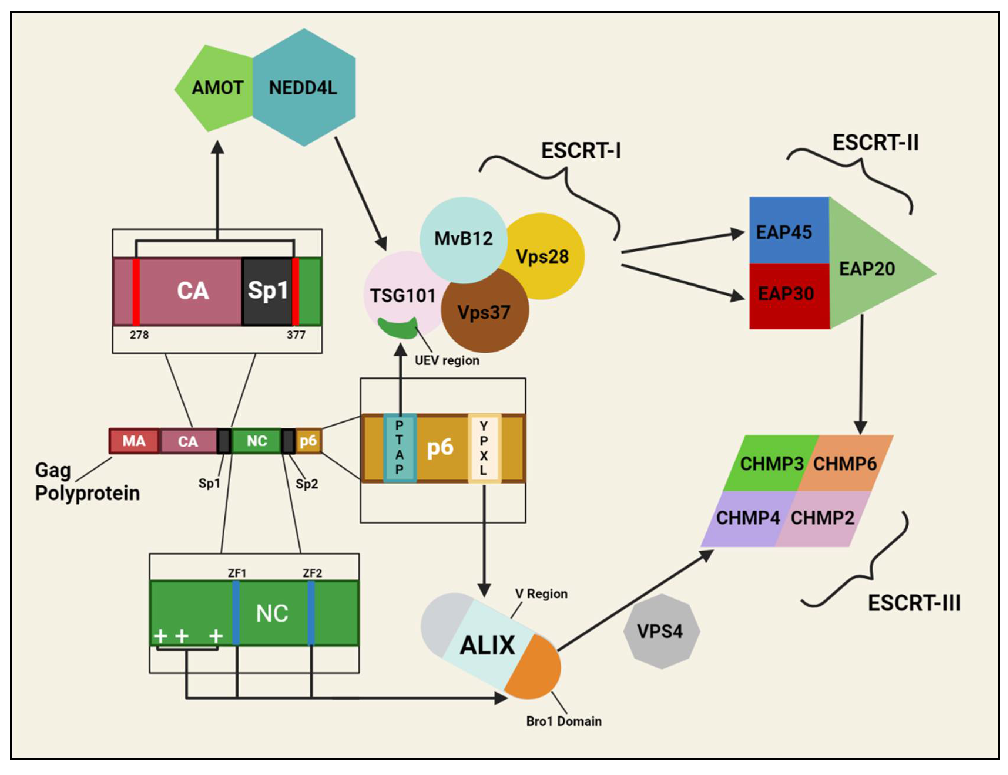 Preprints 113082 g002