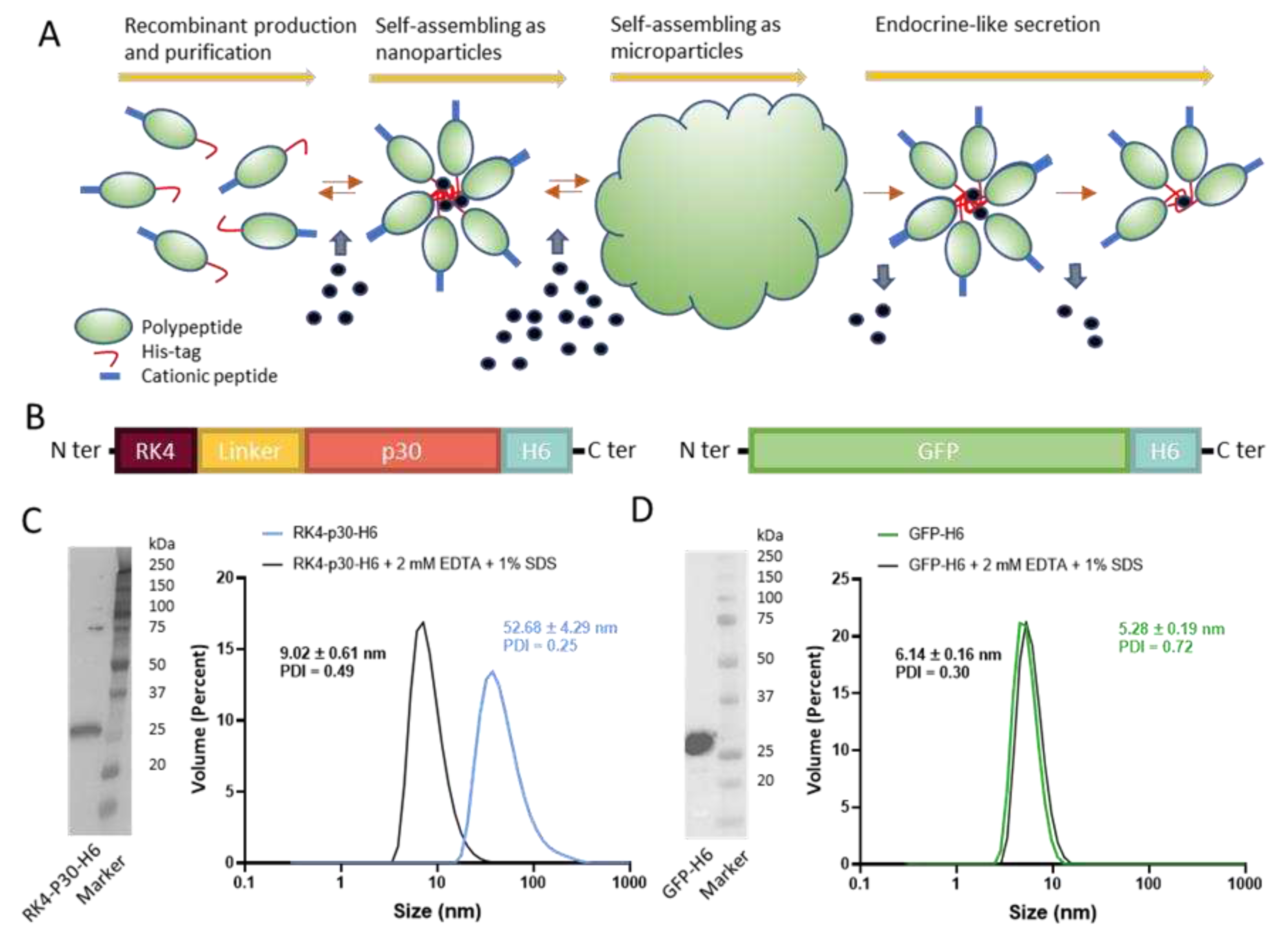 Preprints 97590 g001