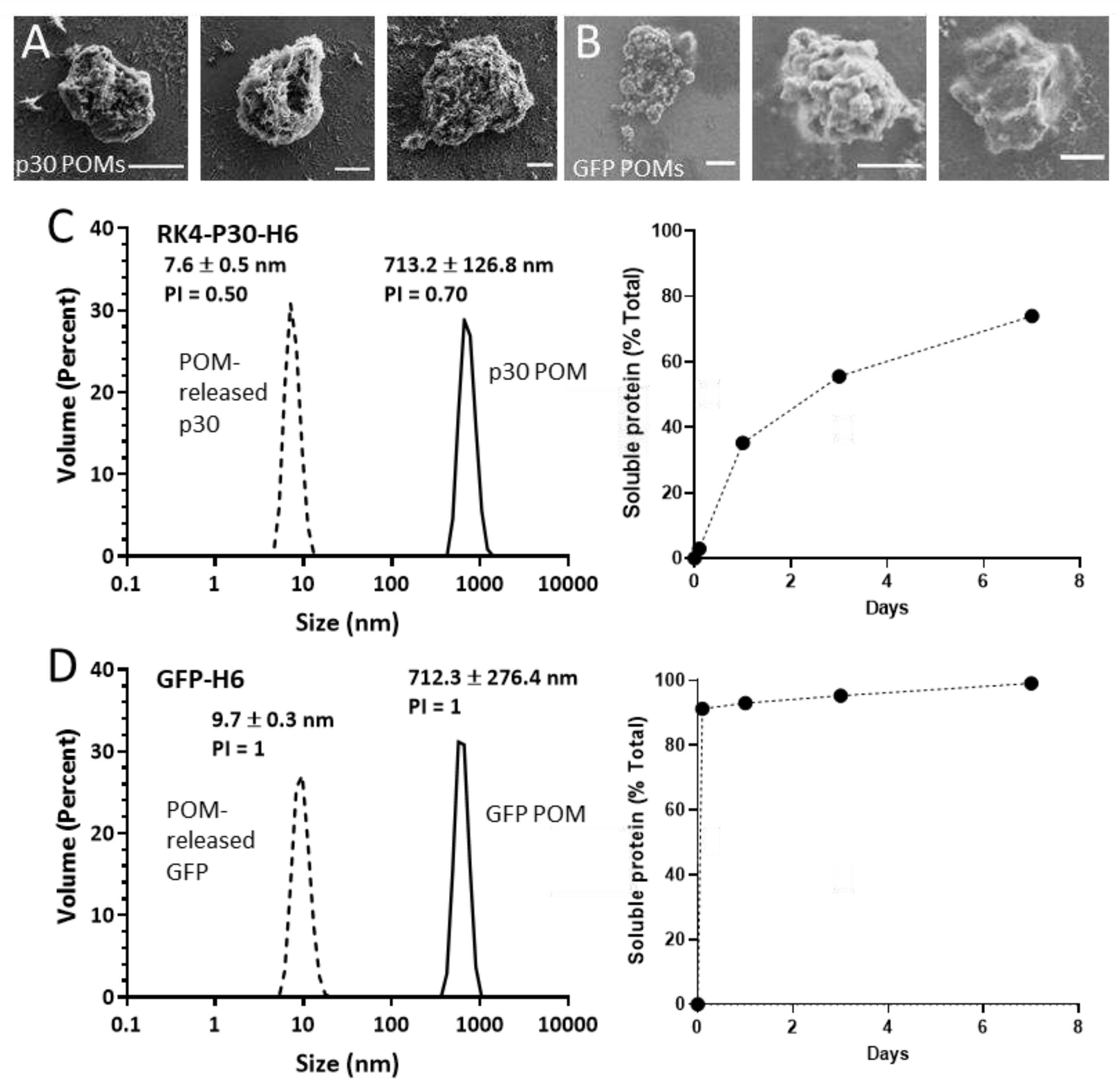 Preprints 97590 g002