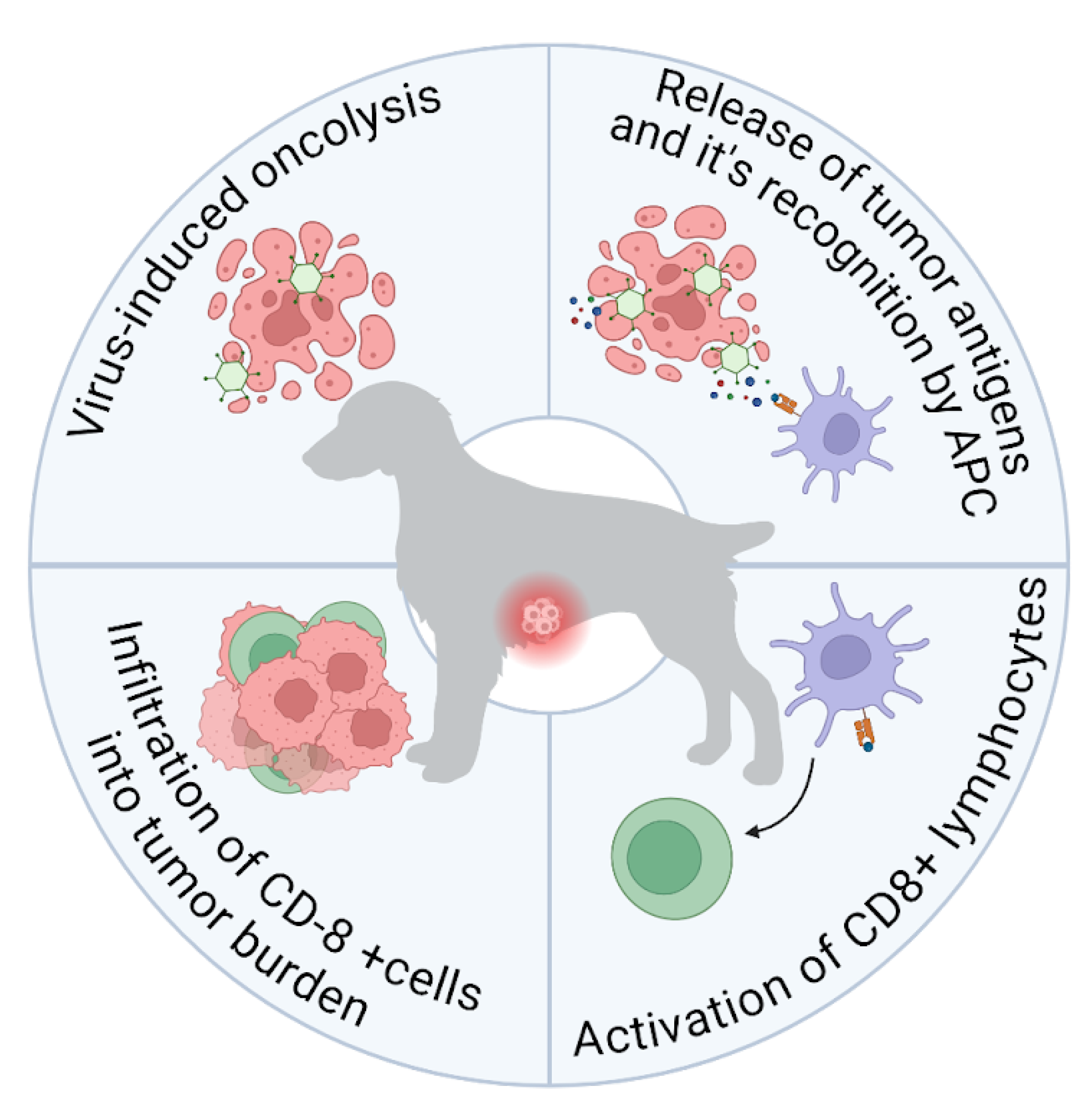 Preprints 200833 g001