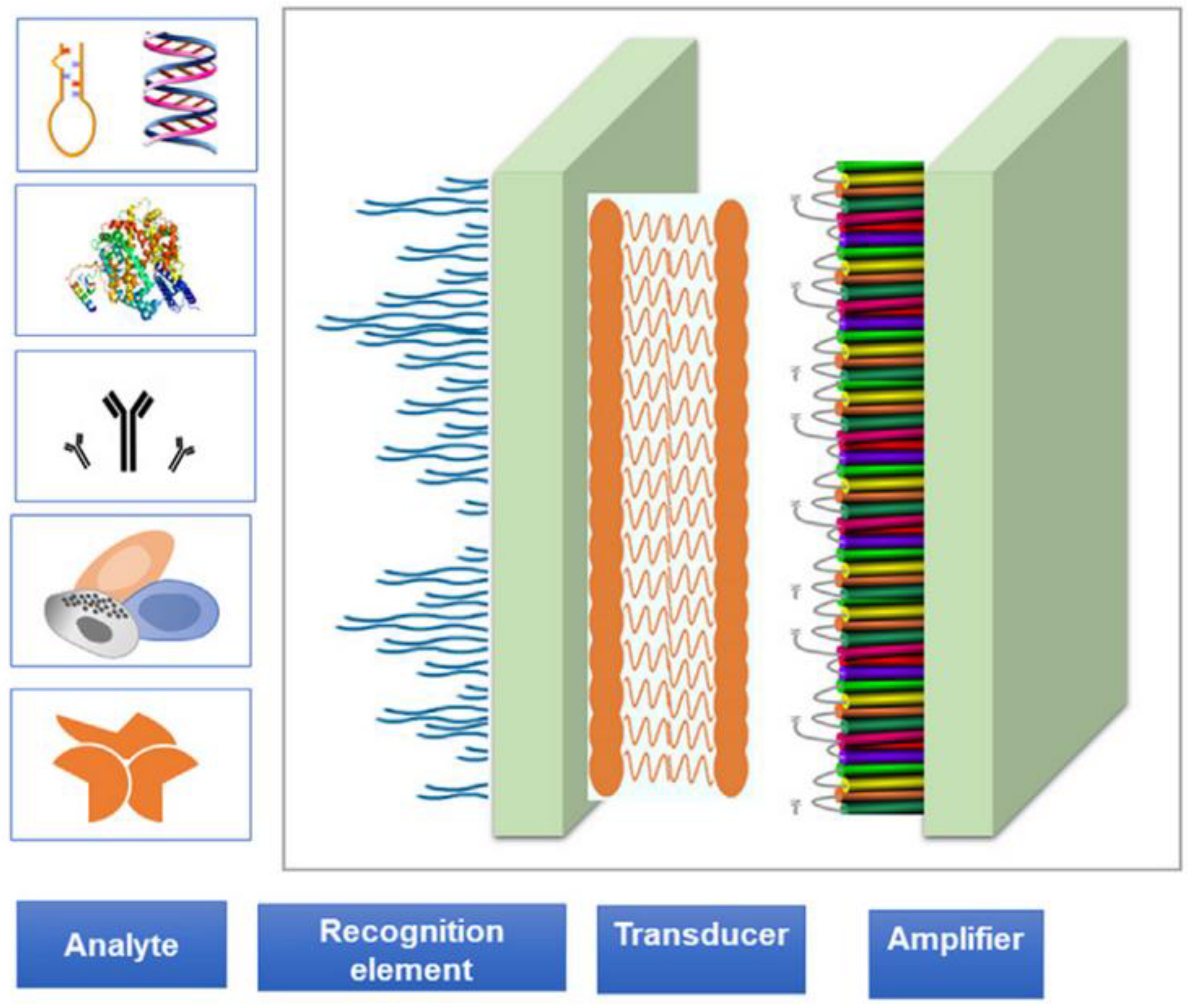 Preprints 150031 g001