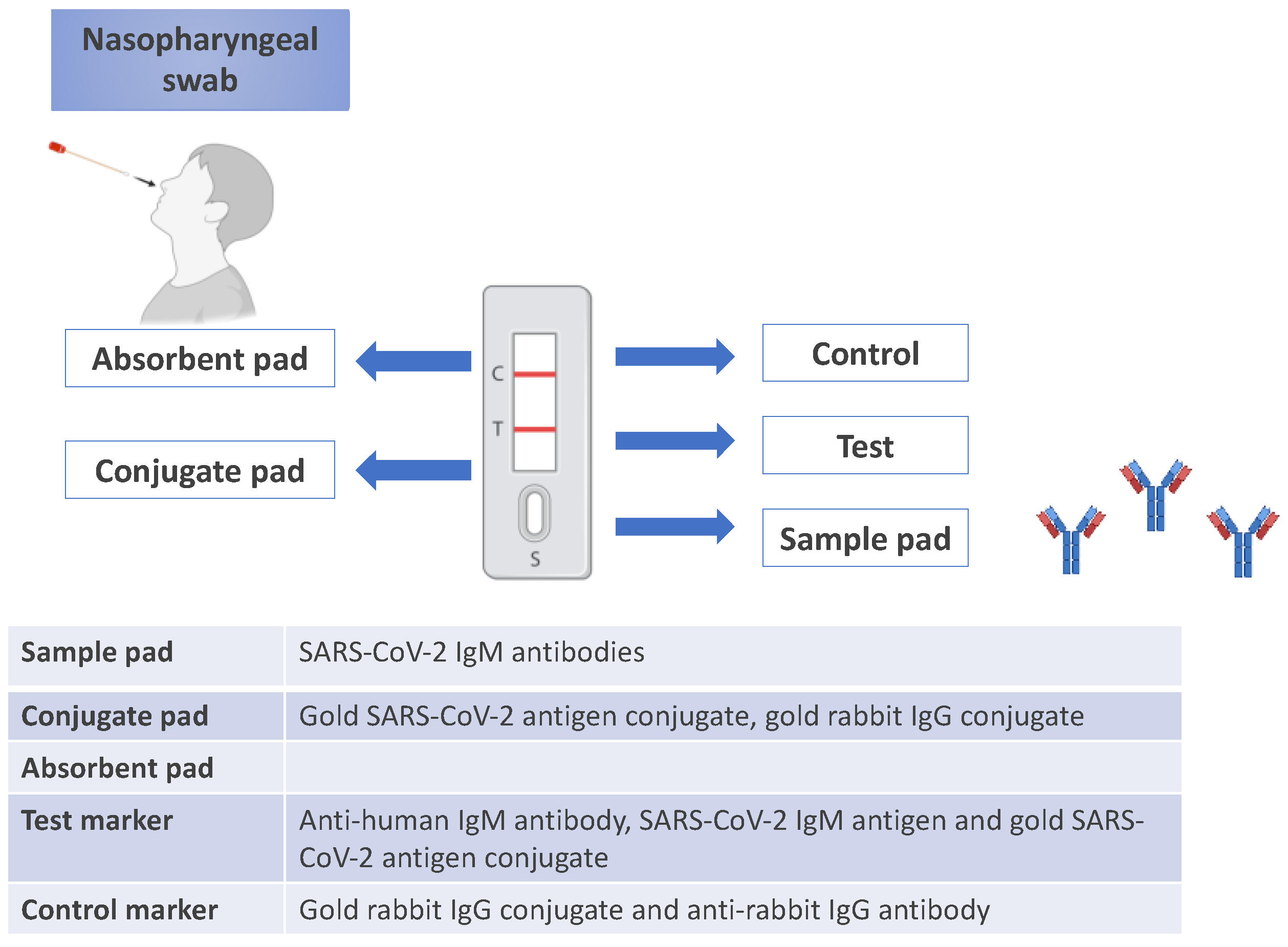 Preprints 150031 g003