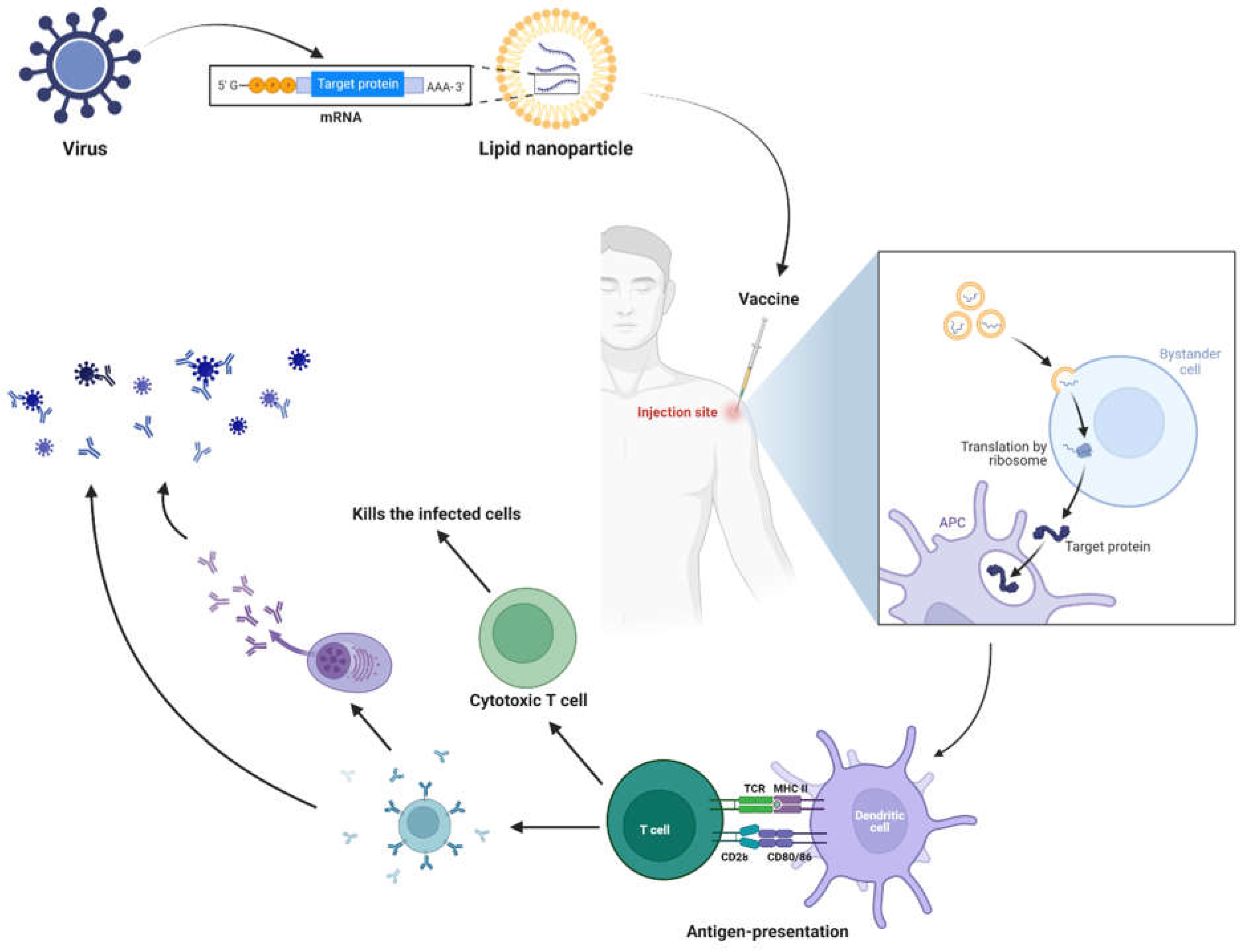 Preprints 68405 g005