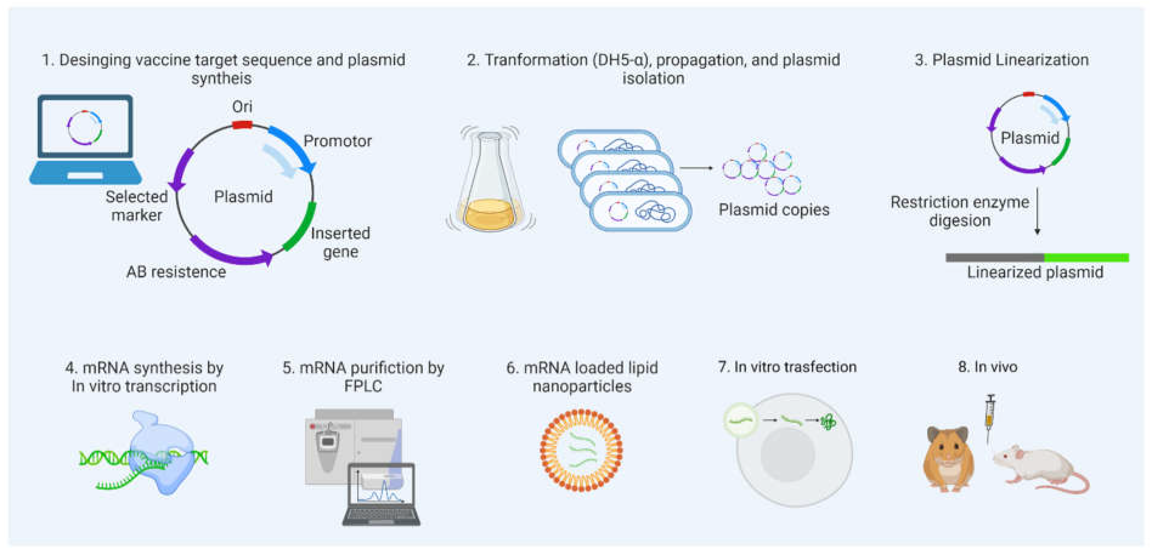 Preprints 68405 g006