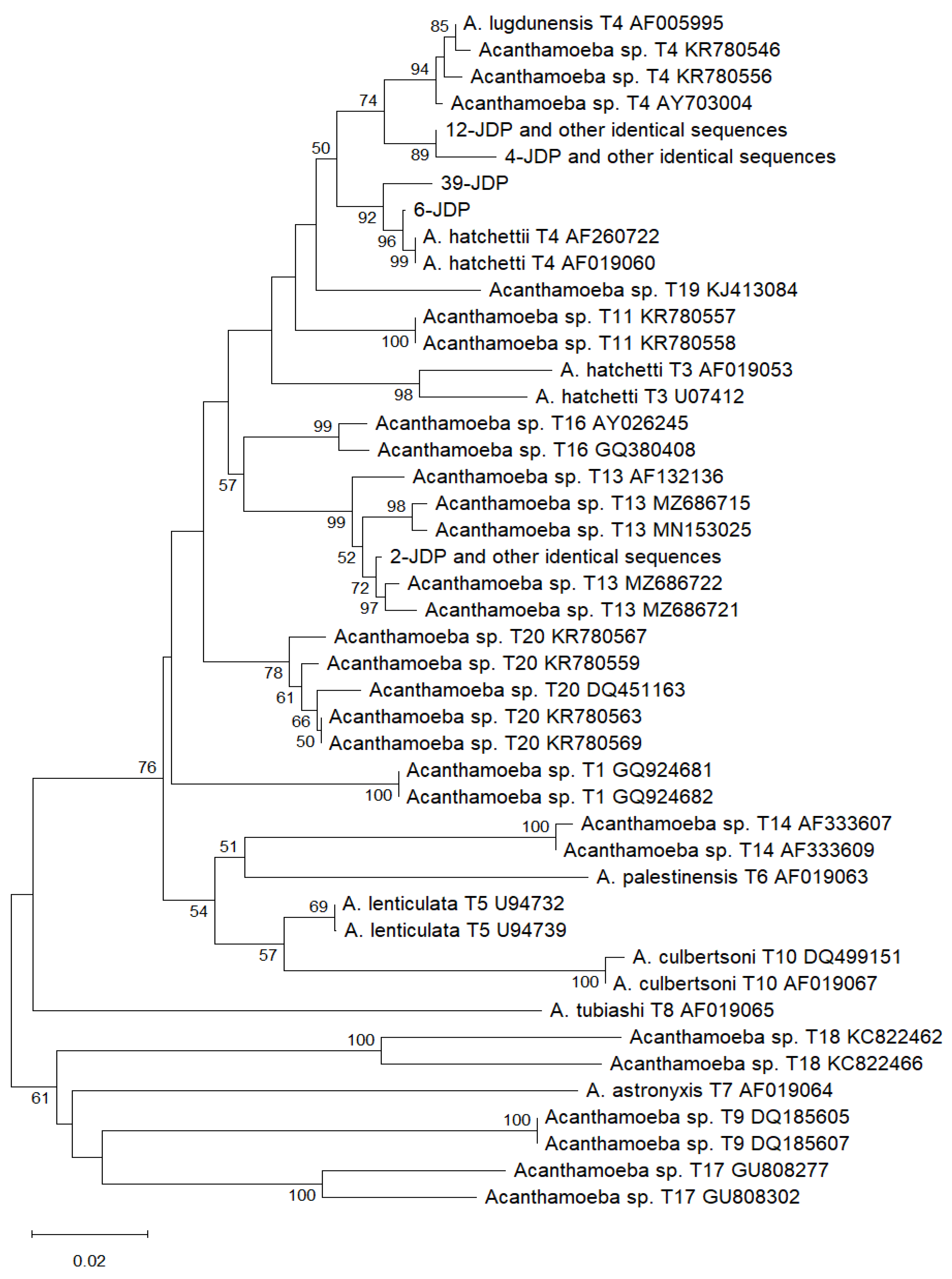 Preprints 168023 g001