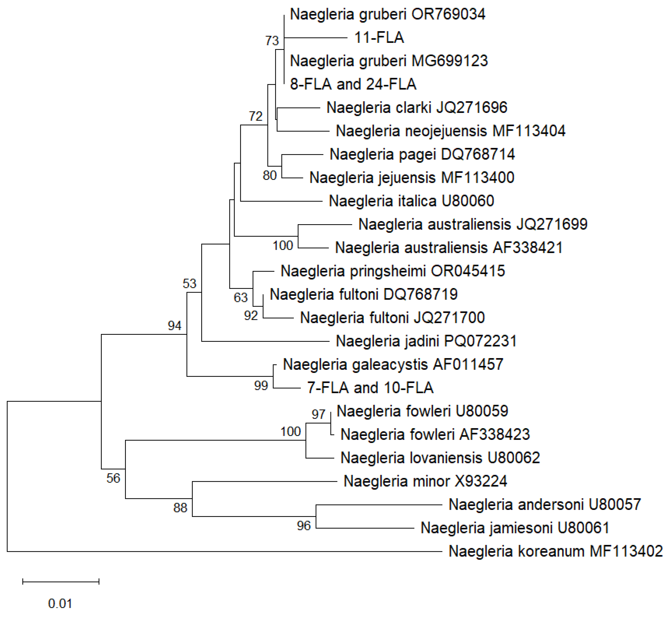 Preprints 168023 g002