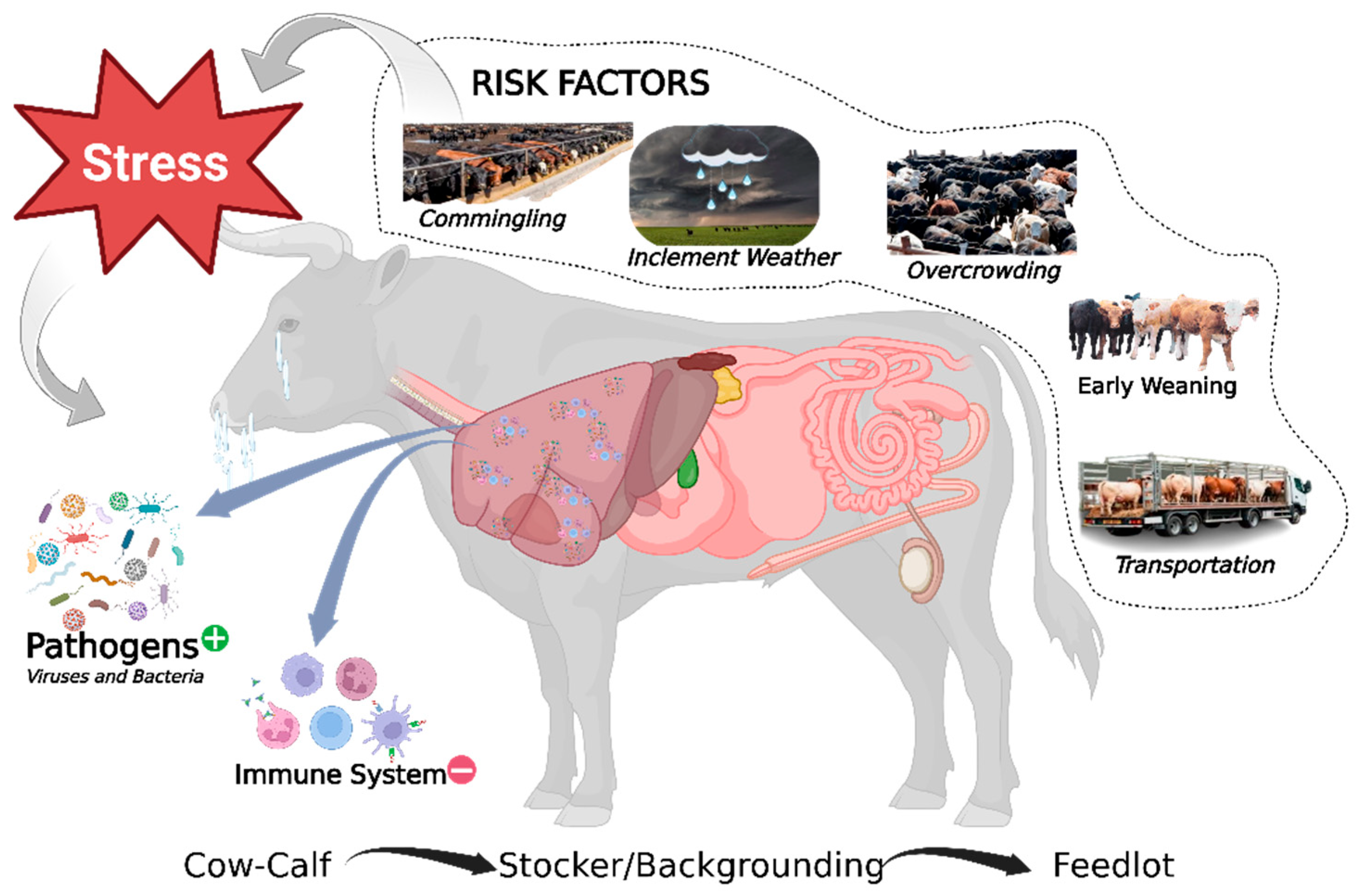 Preprints 188070 g001