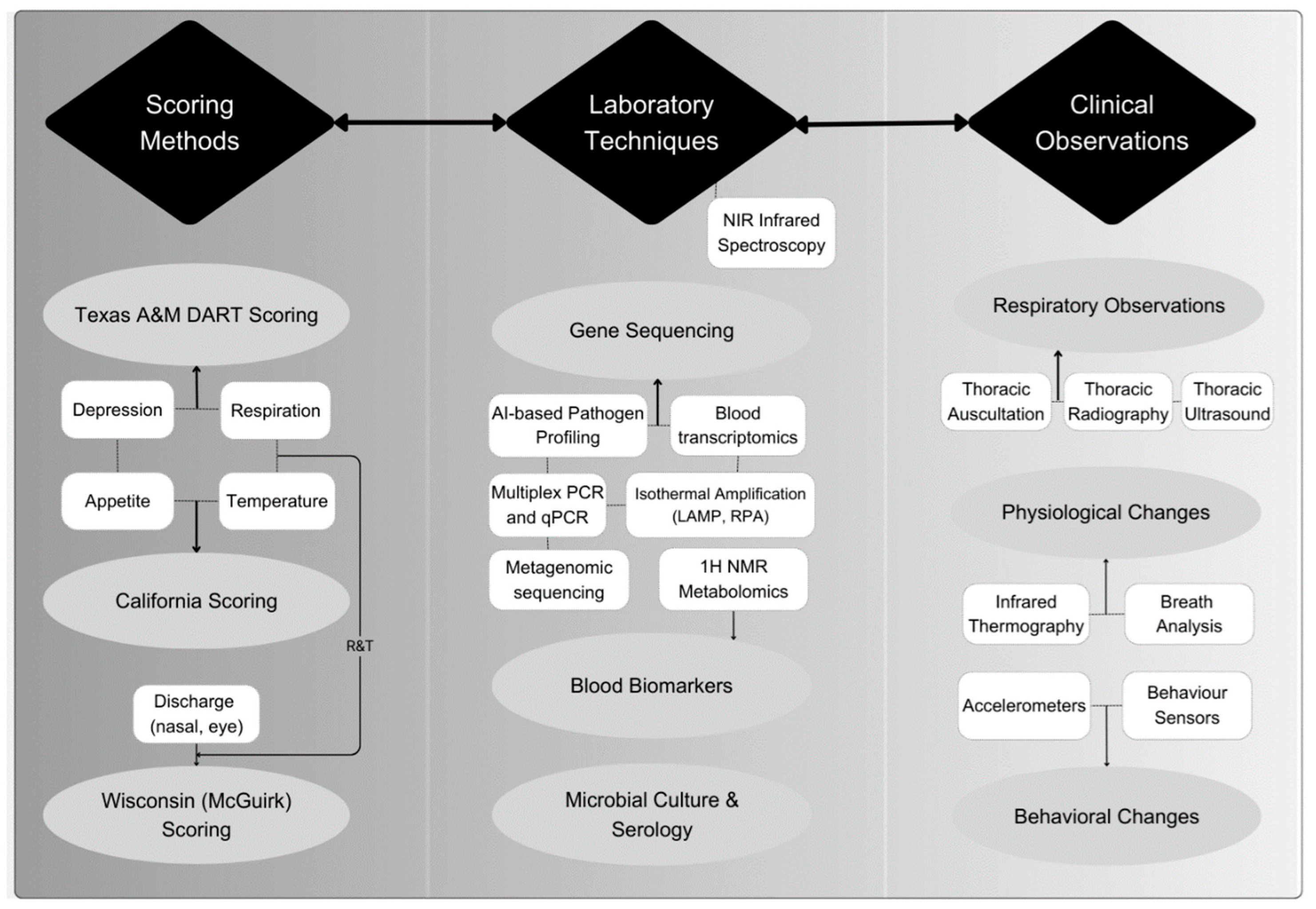 Preprints 188070 g002