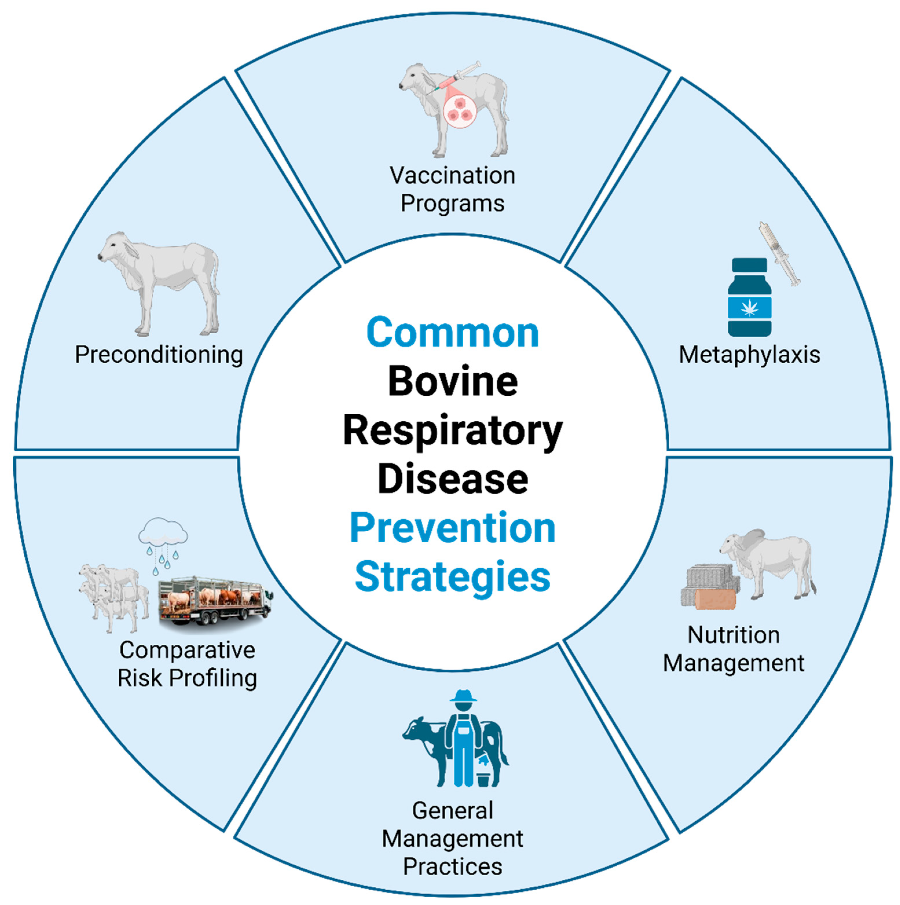 Preprints 188070 g003