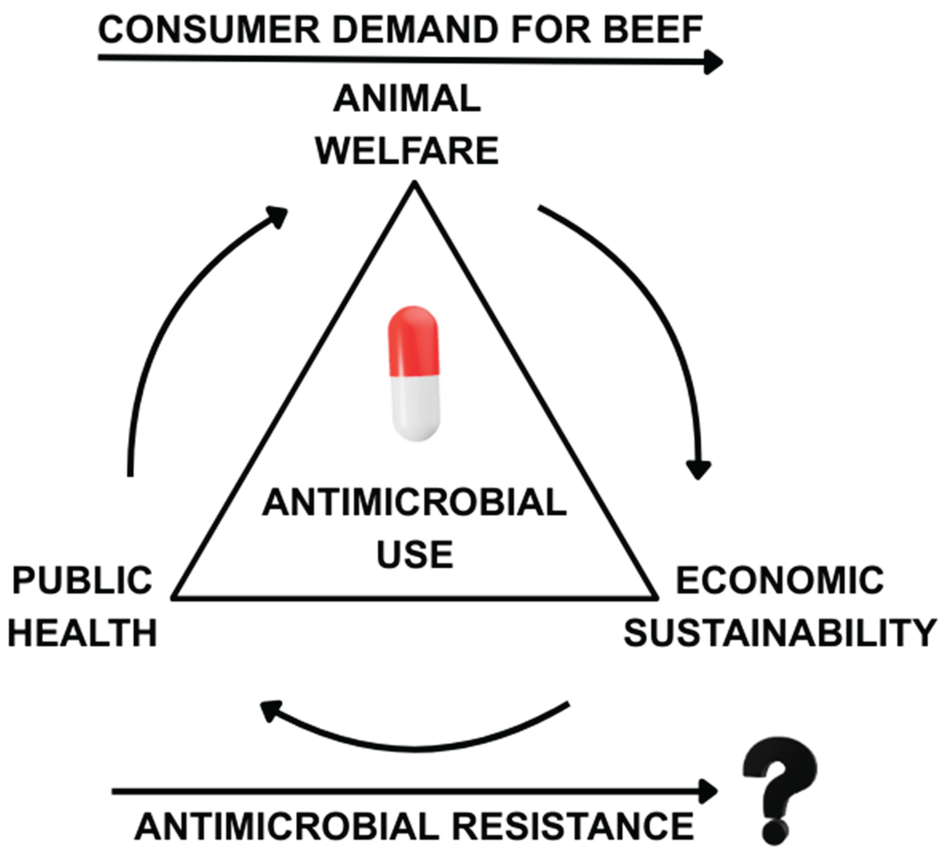 Preprints 188070 g006