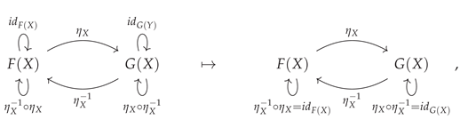 Preprints 102163 i069