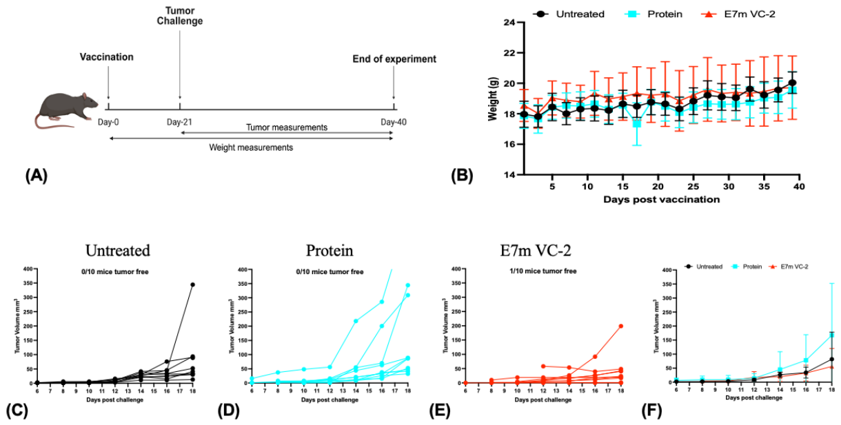 Preprints 227774 g003 Preprints 227774 g003