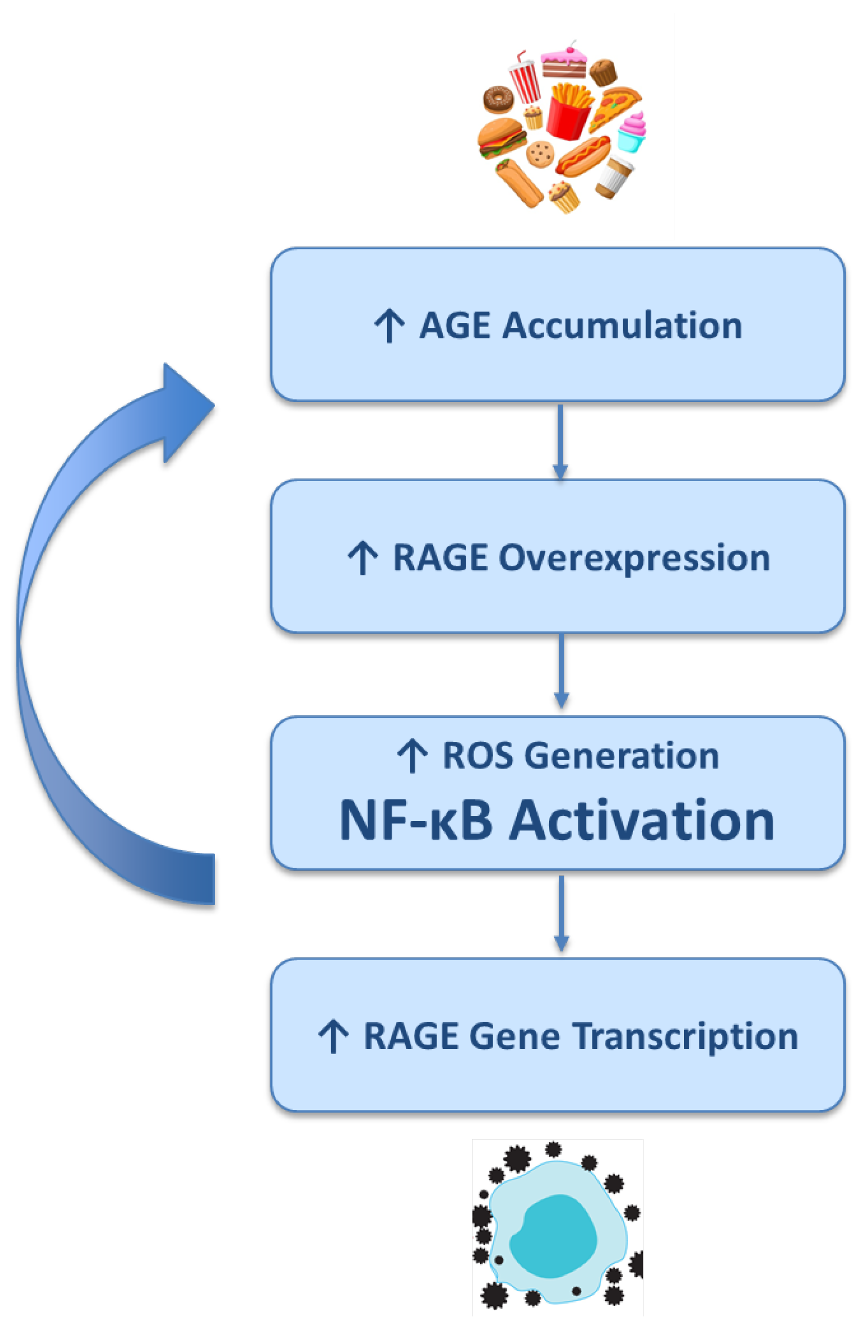 Preprints 168169 g002