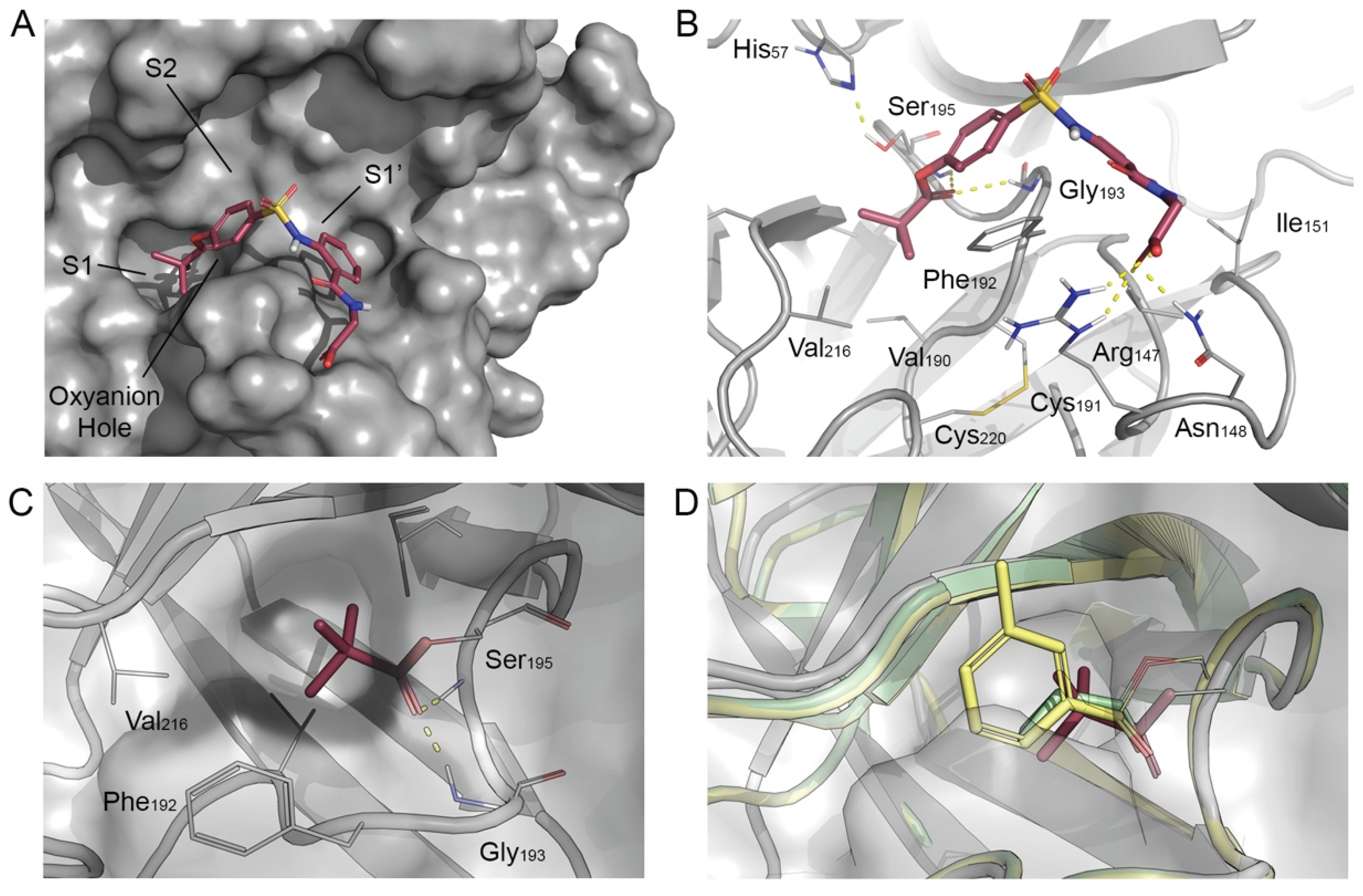 Preprints 205082 g002