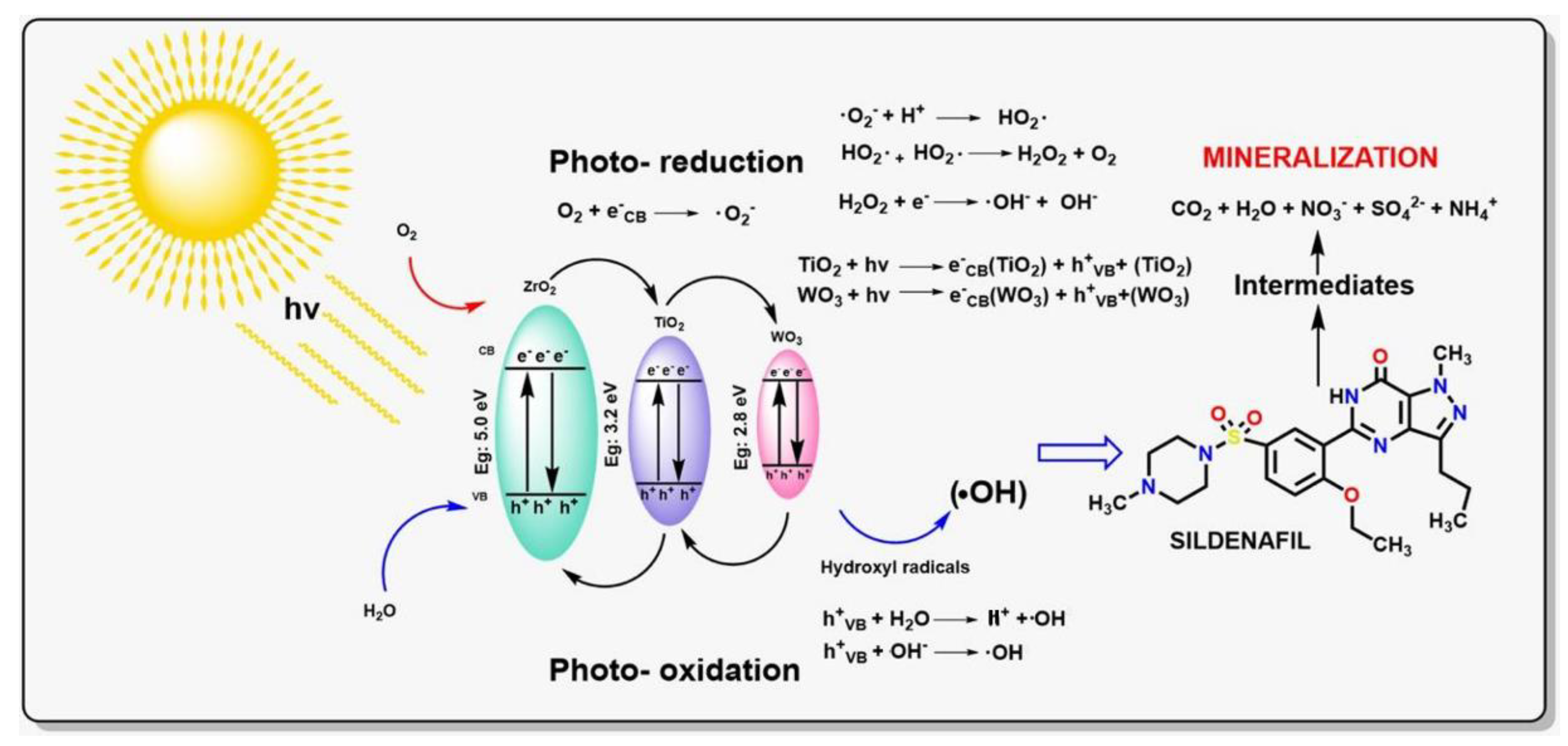Preprints 191455 g012