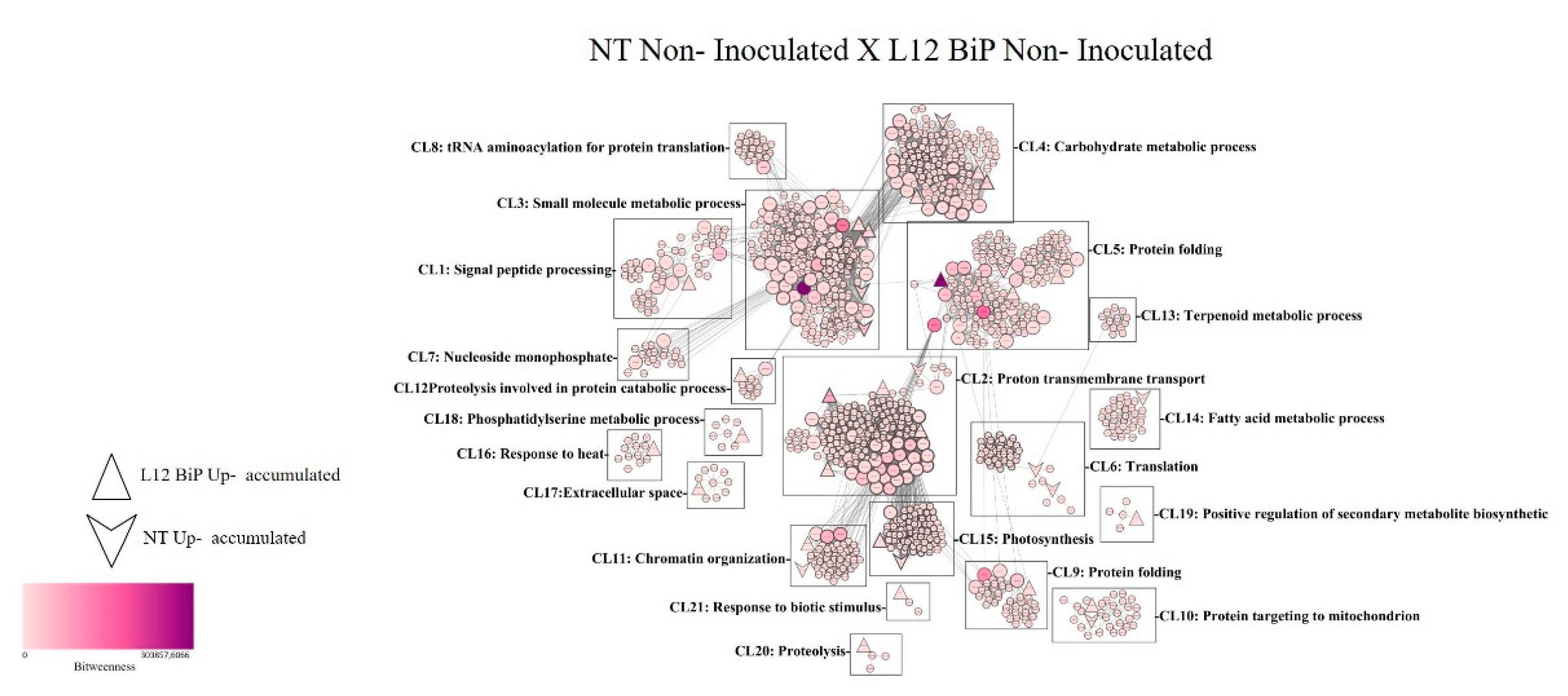 Preprints 144629 g005
