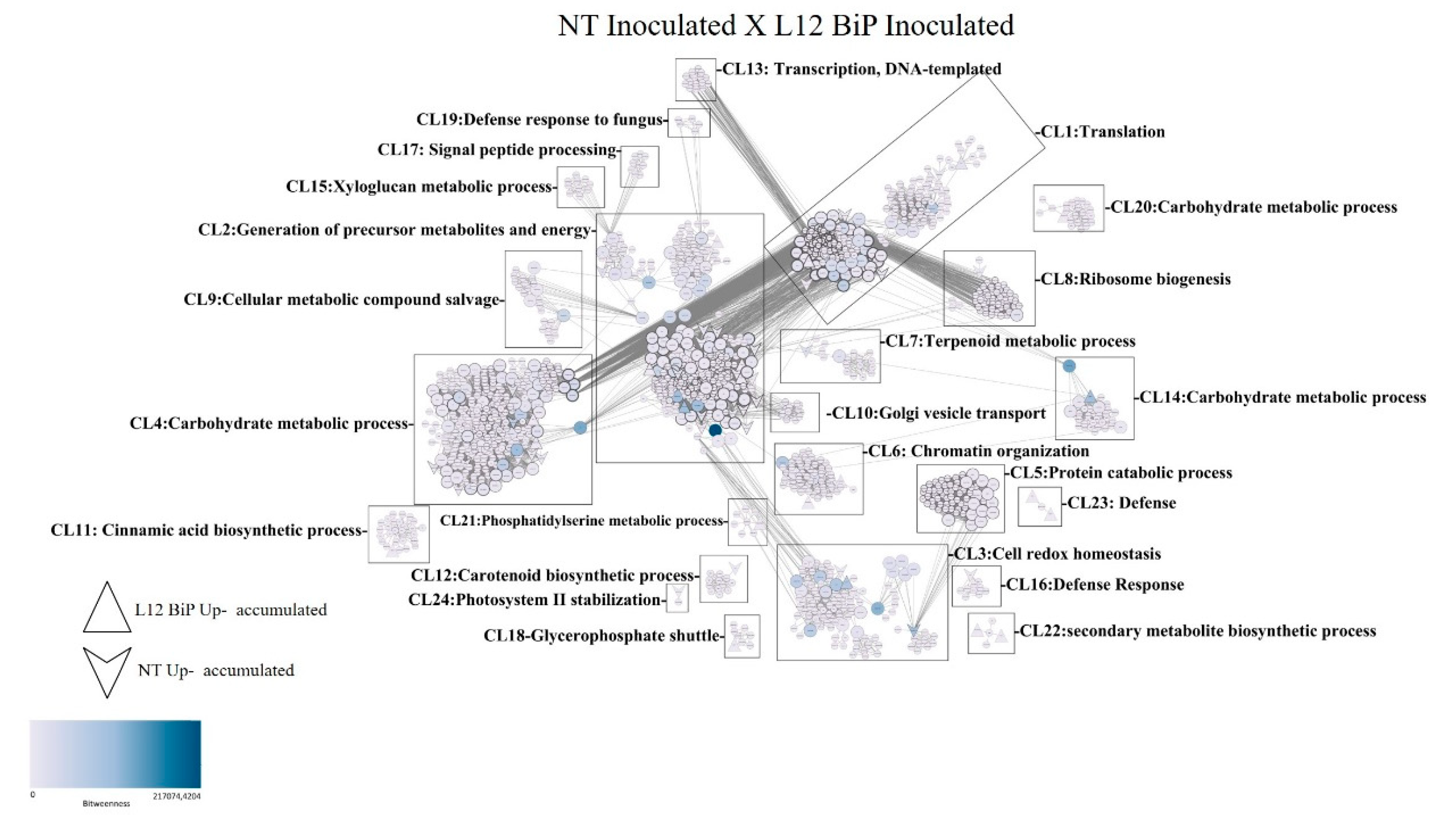 Preprints 144629 g006