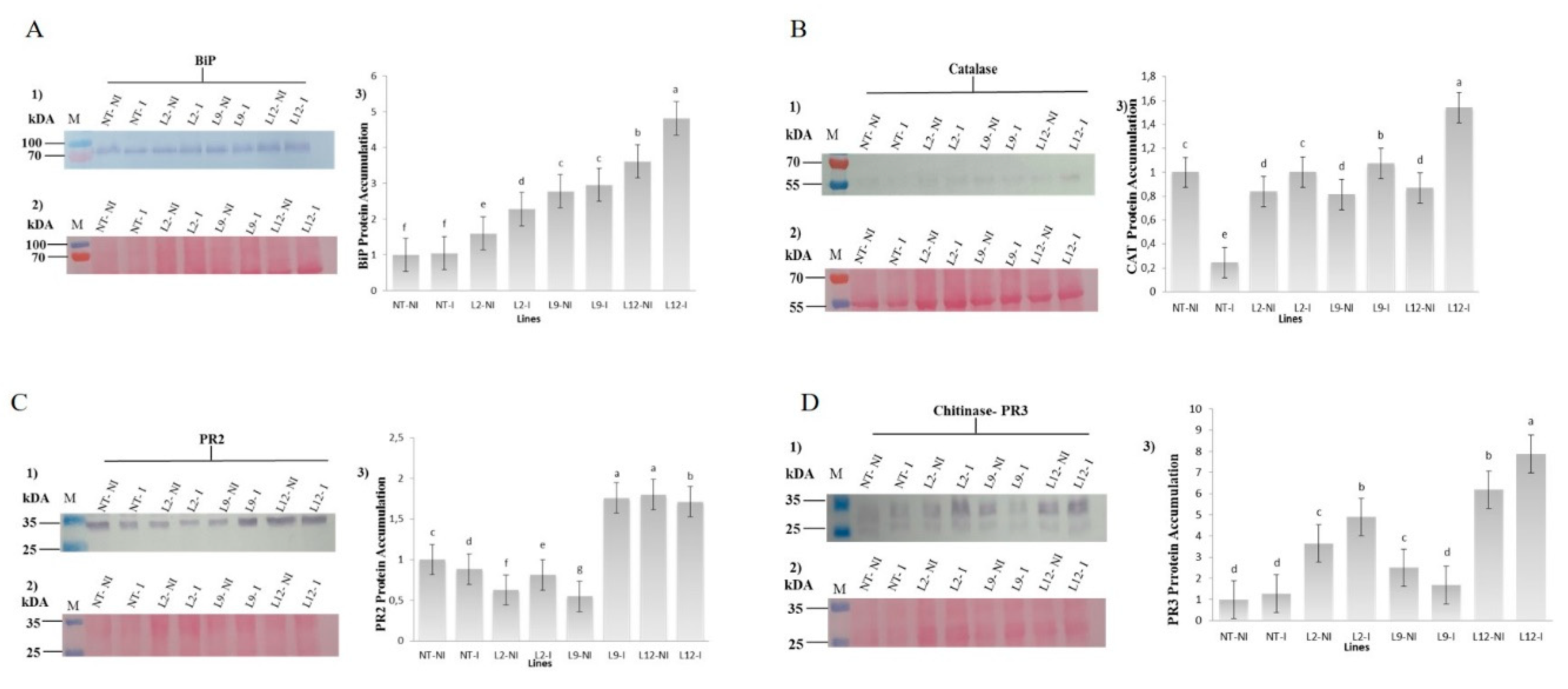 Preprints 144629 g007