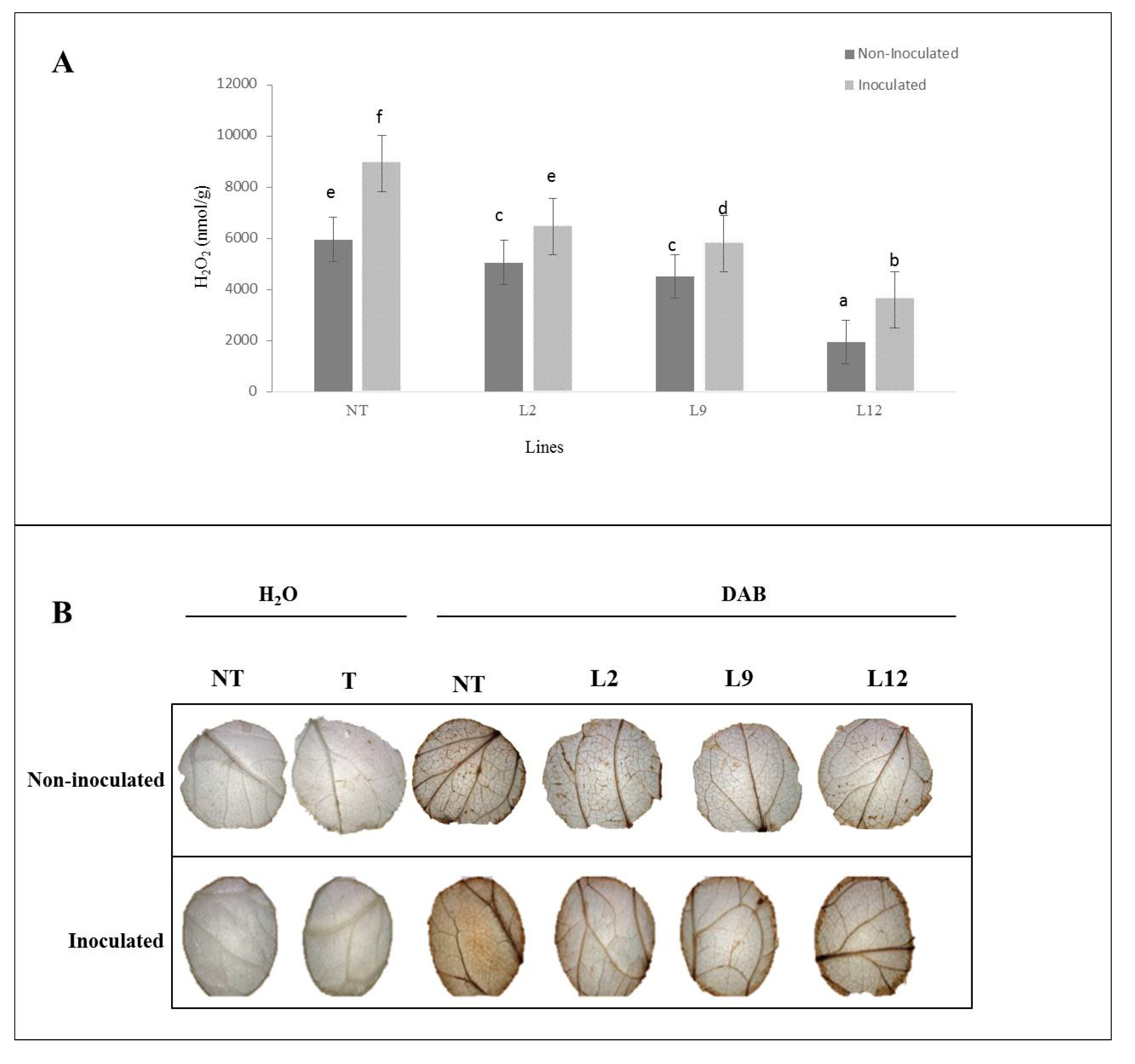 Preprints 144629 g008