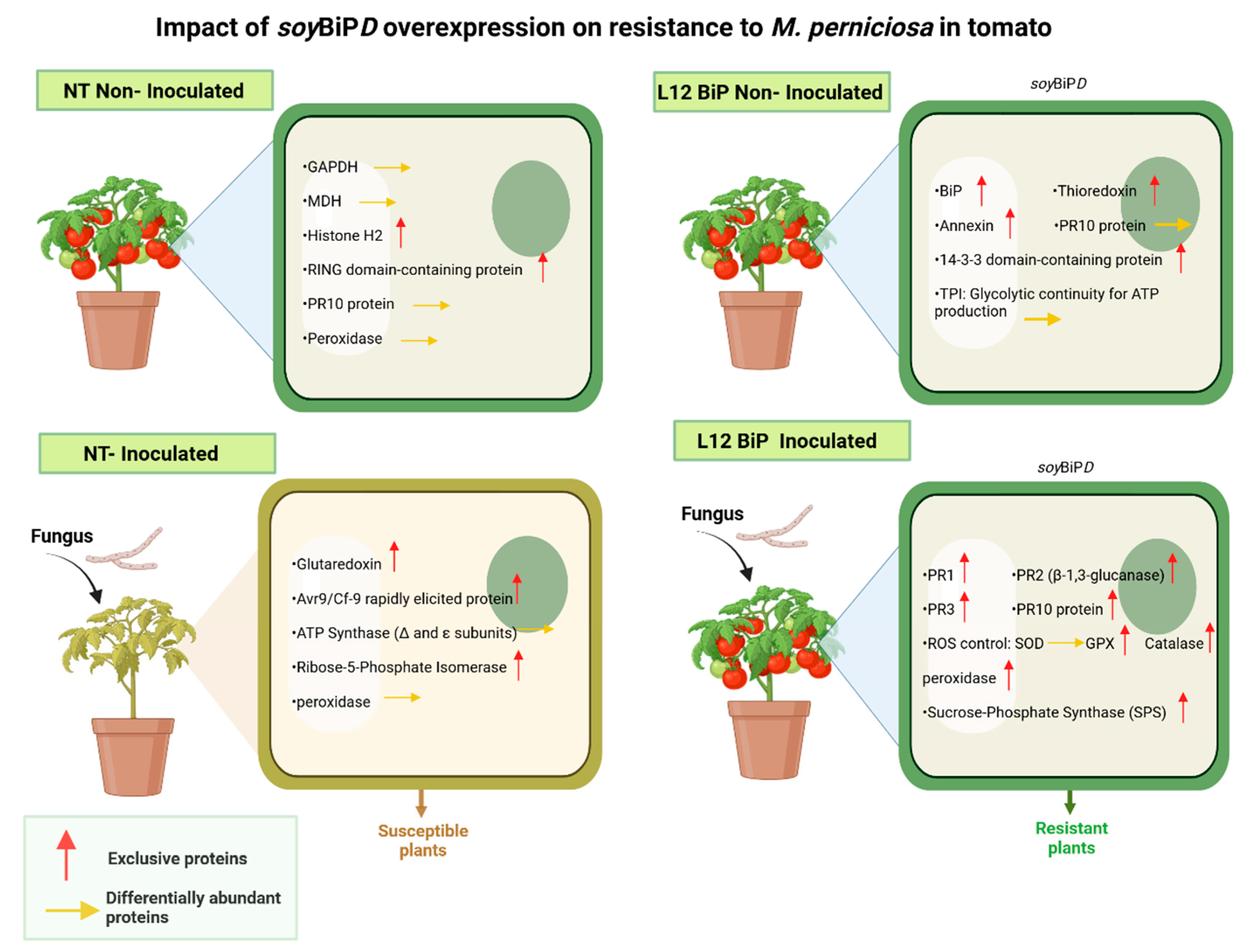 Preprints 144629 g010