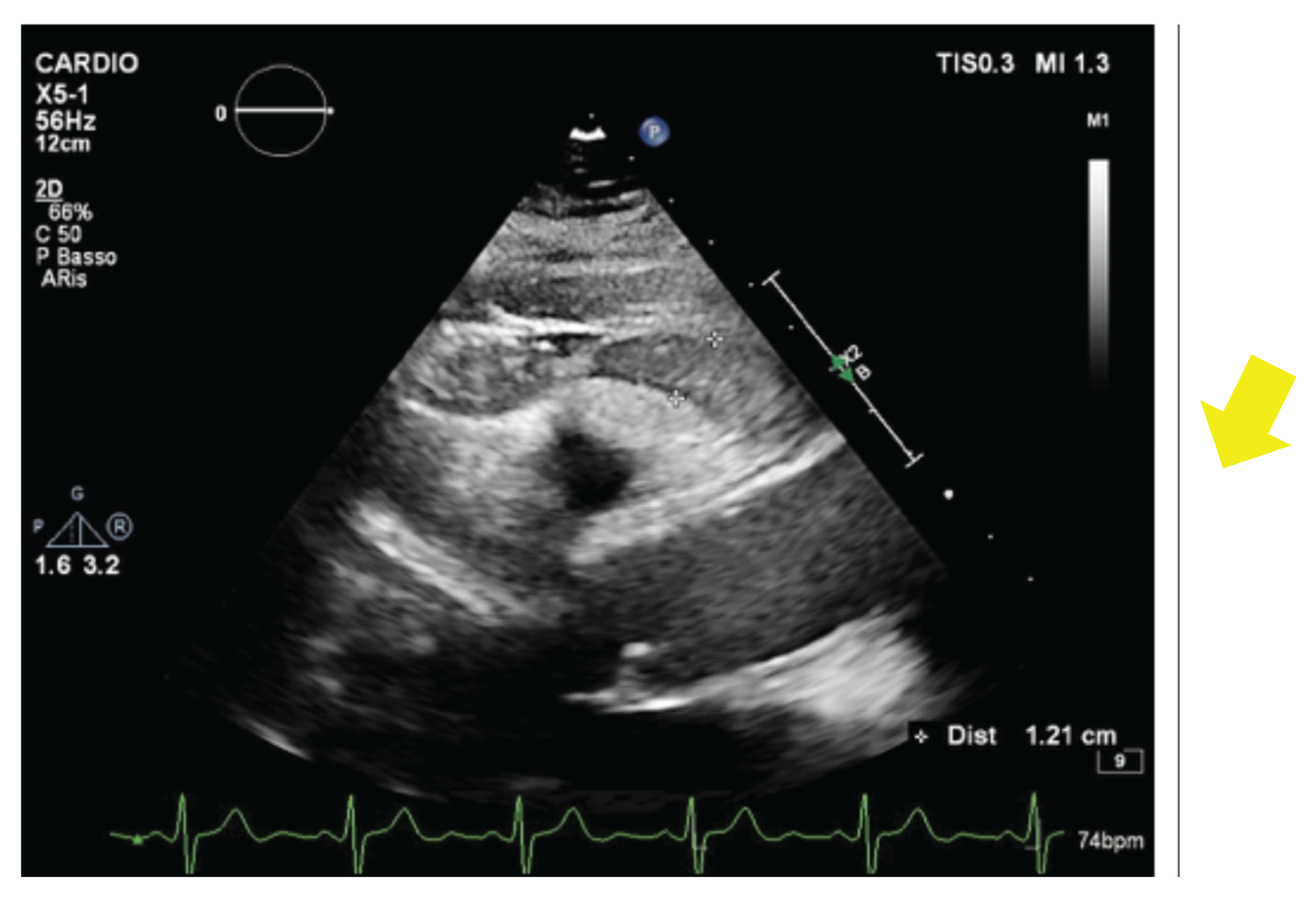 Preprints 195528 g001