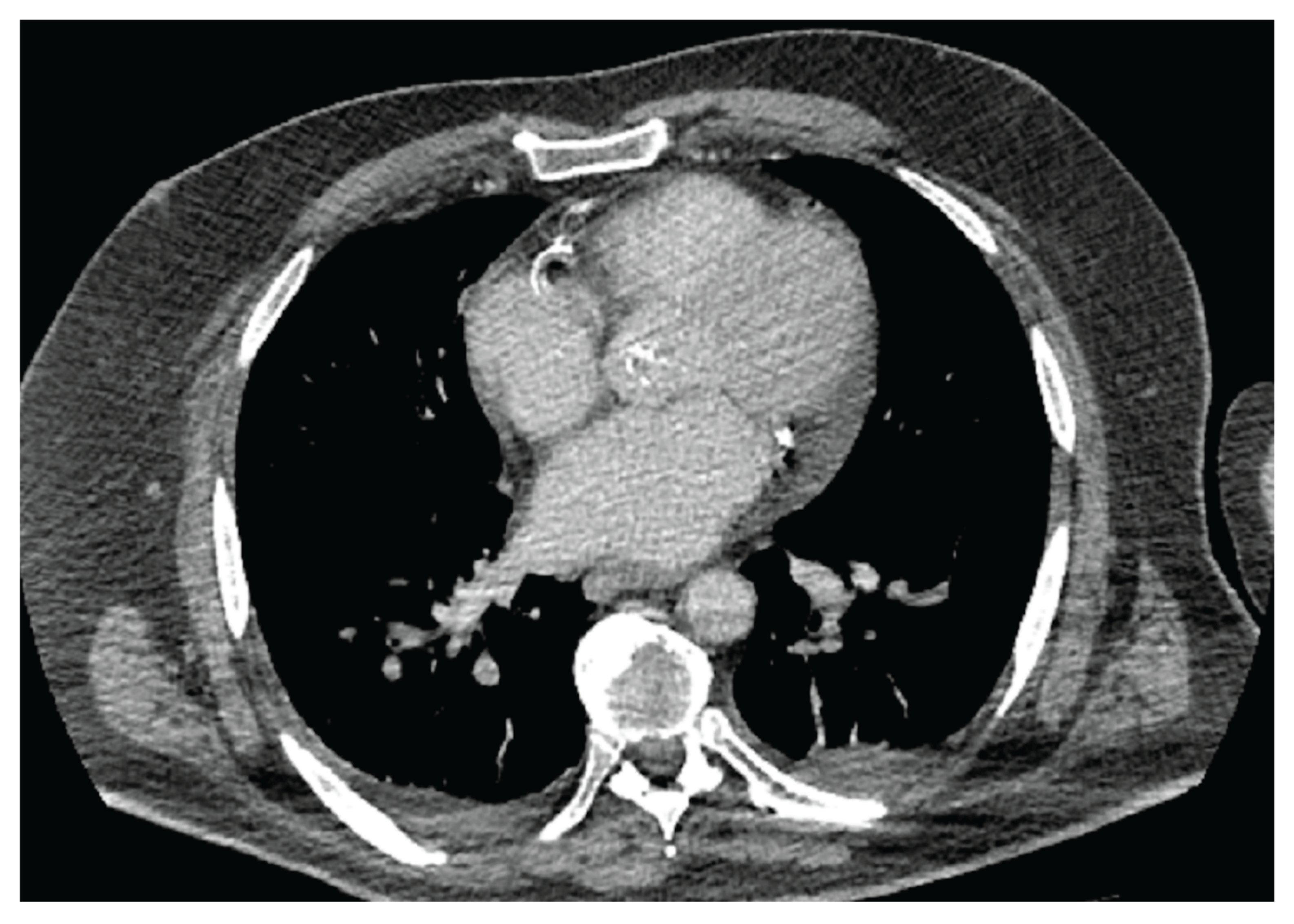 Preprints 195528 g002