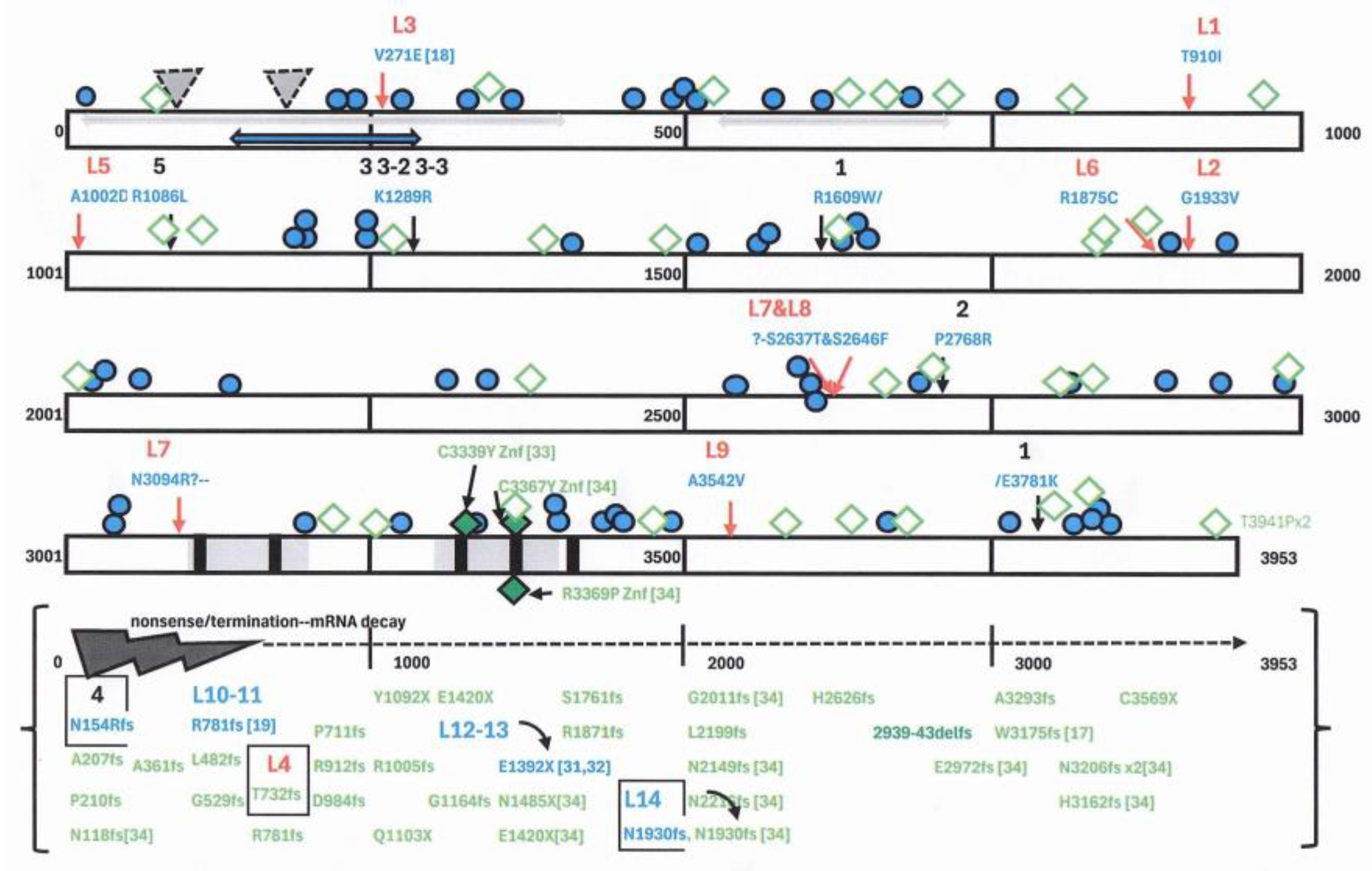 Preprints 201326 g002
