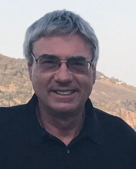 Preprints 73394 i001