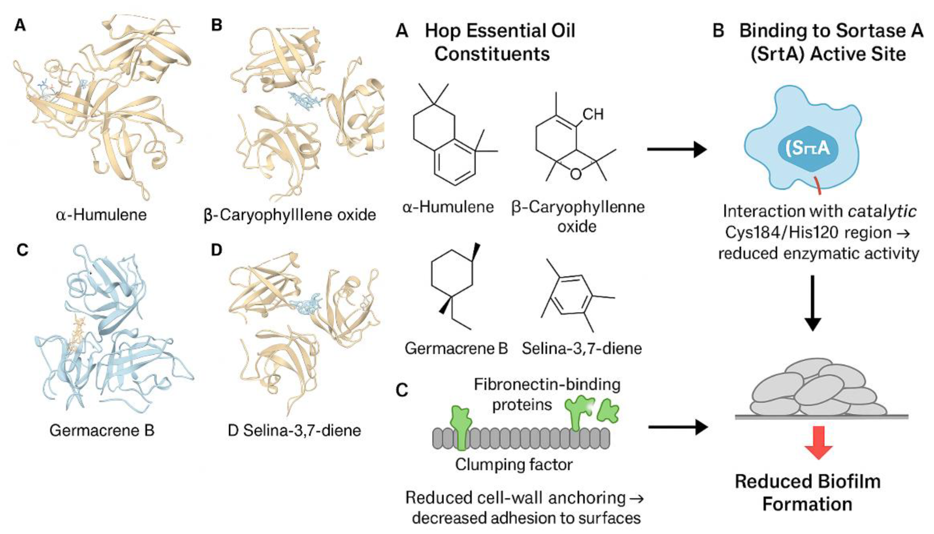 Preprints 190005 g004
