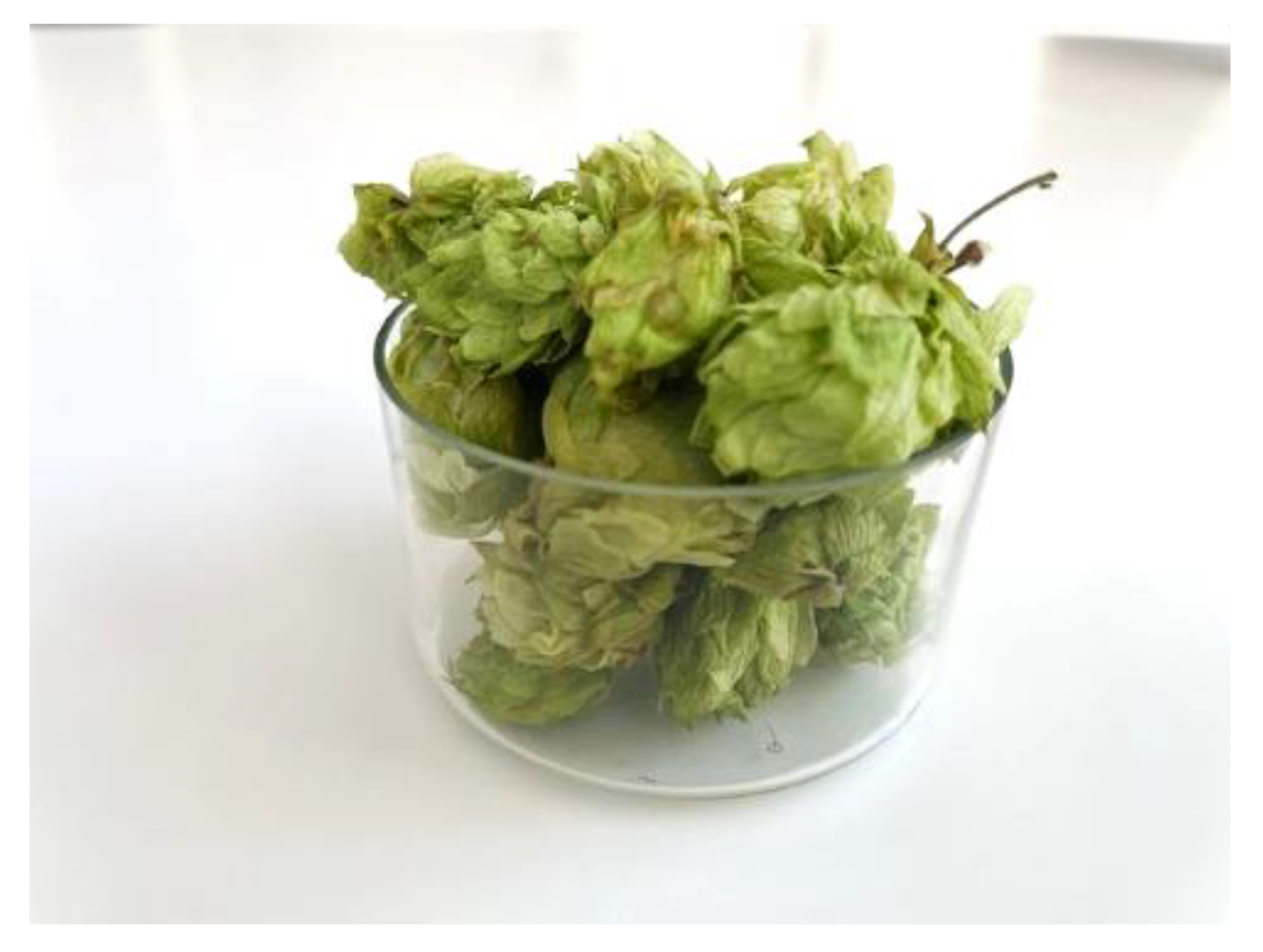 Preprints 190005 g005