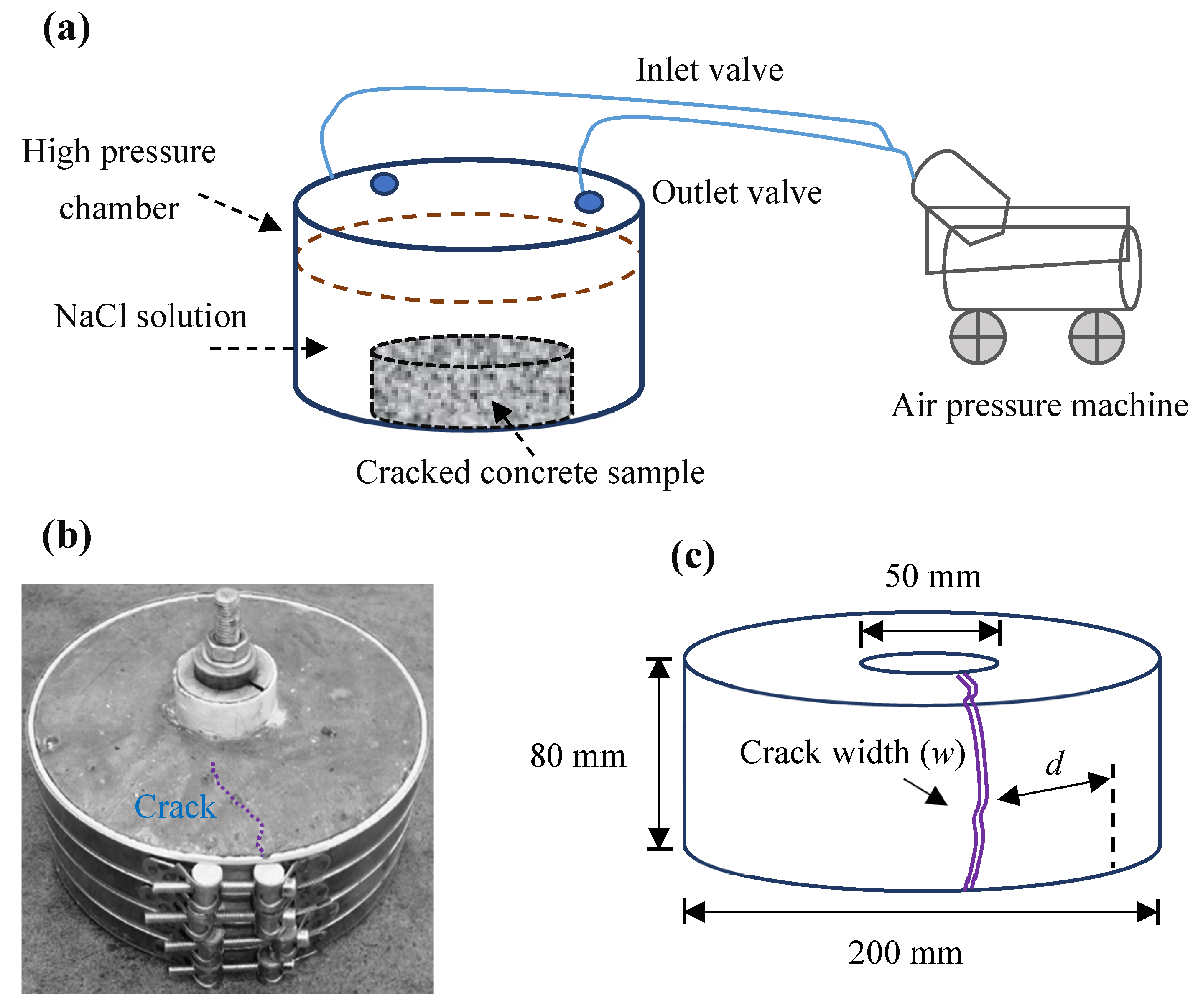 Preprints 139151 g001