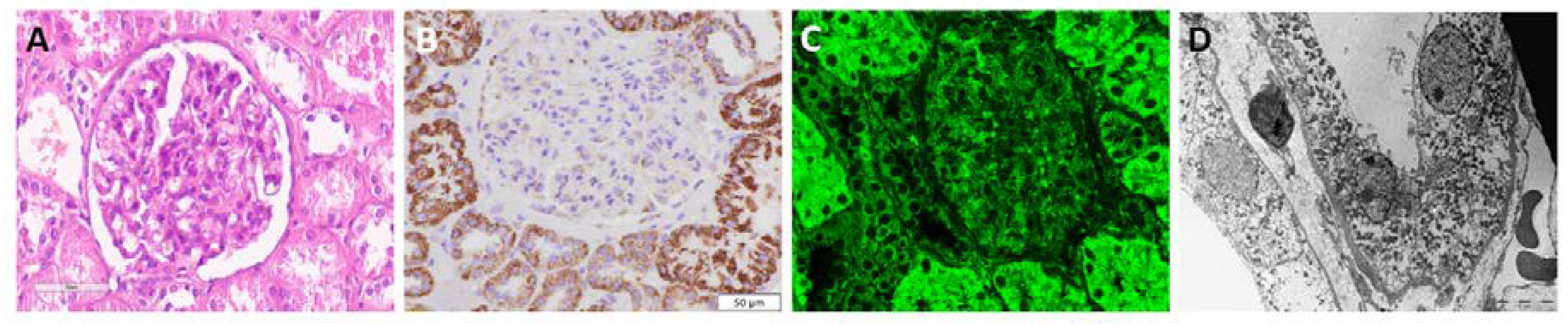 Preprints 71760 g001