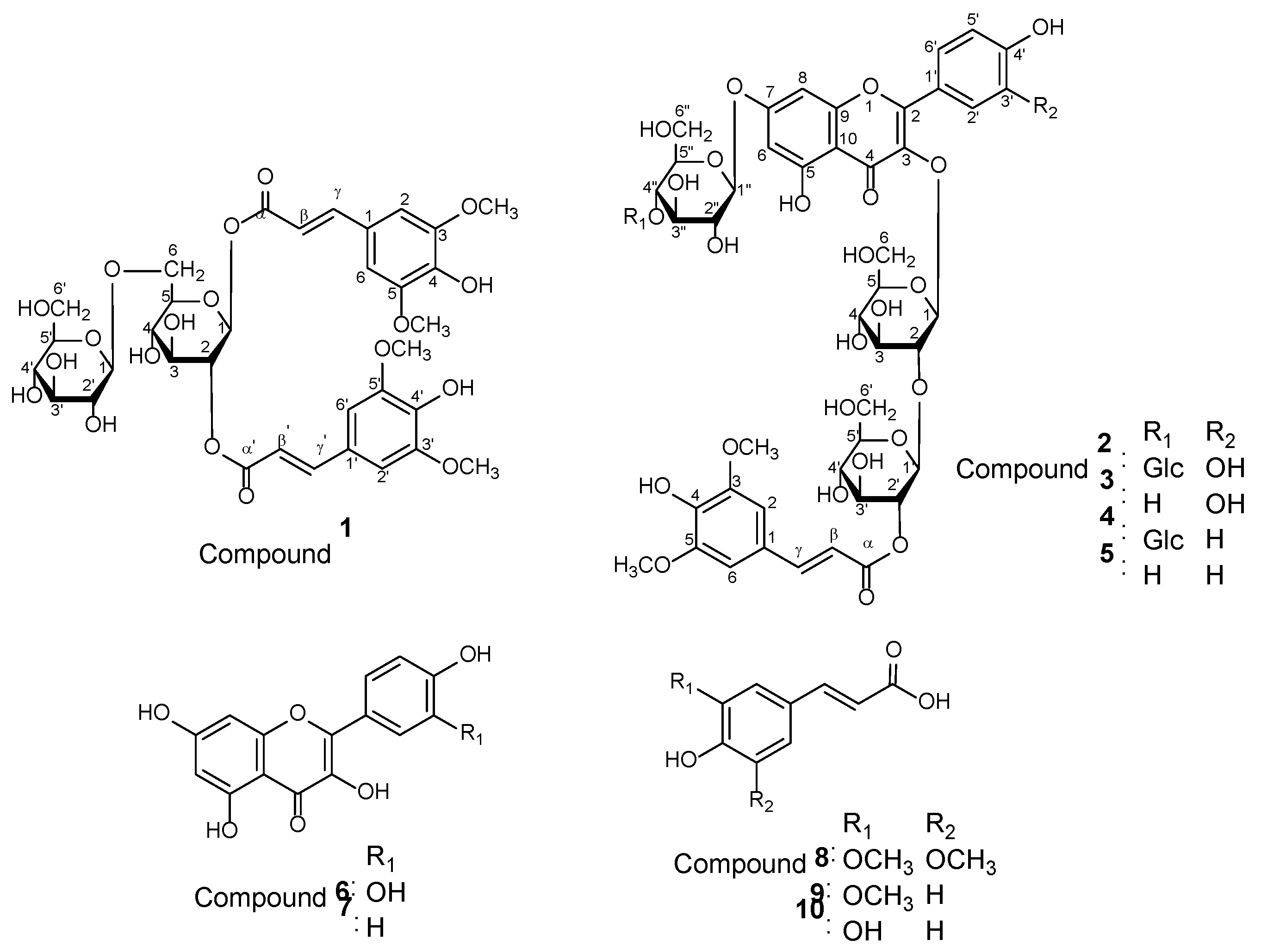Preprints 115953 g001