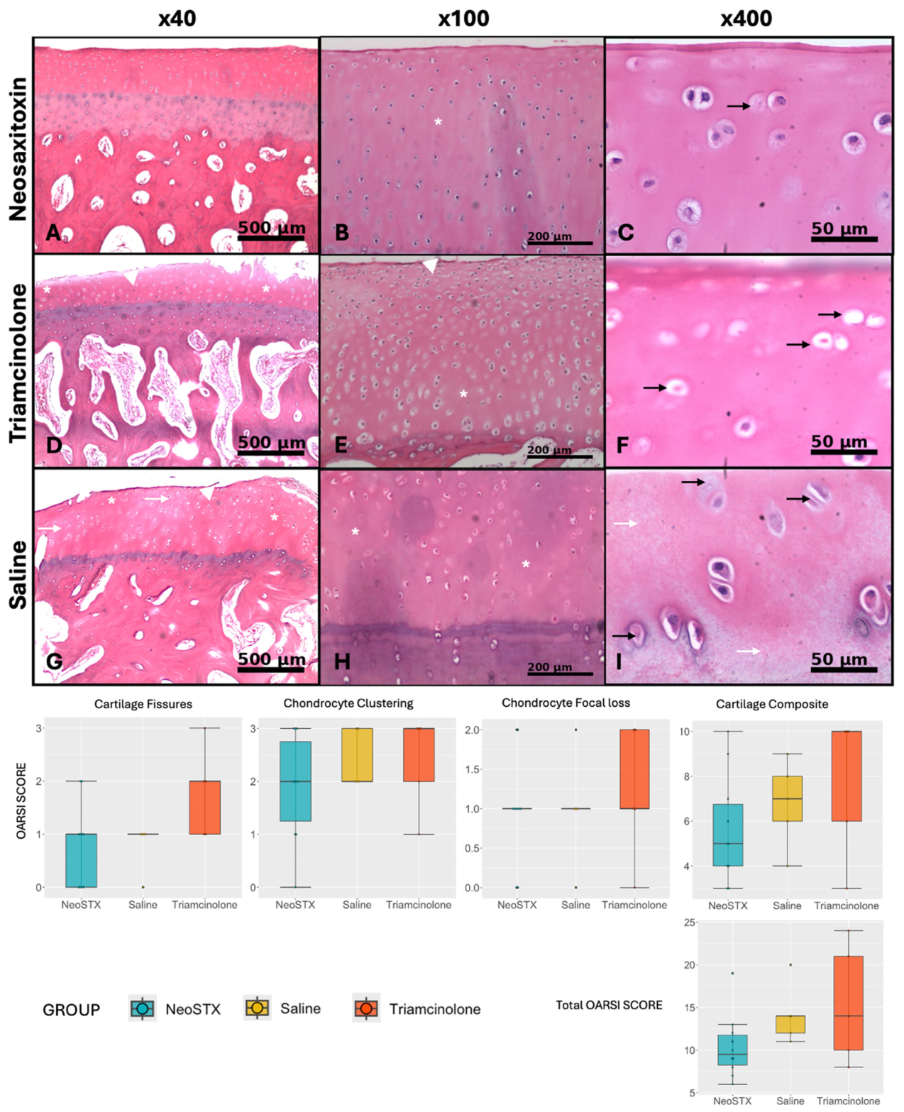Preprints 217227 g009 Preprints 217227 g009