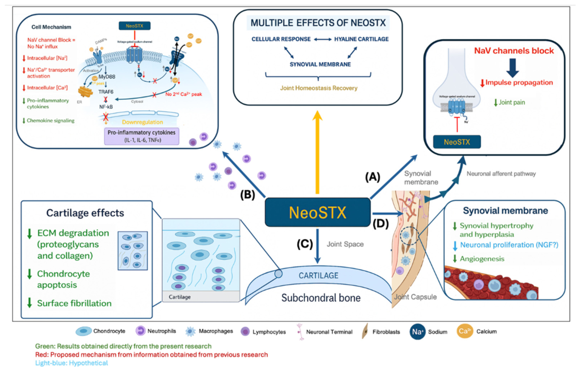 Preprints 217227 g011 Preprints 217227 g011